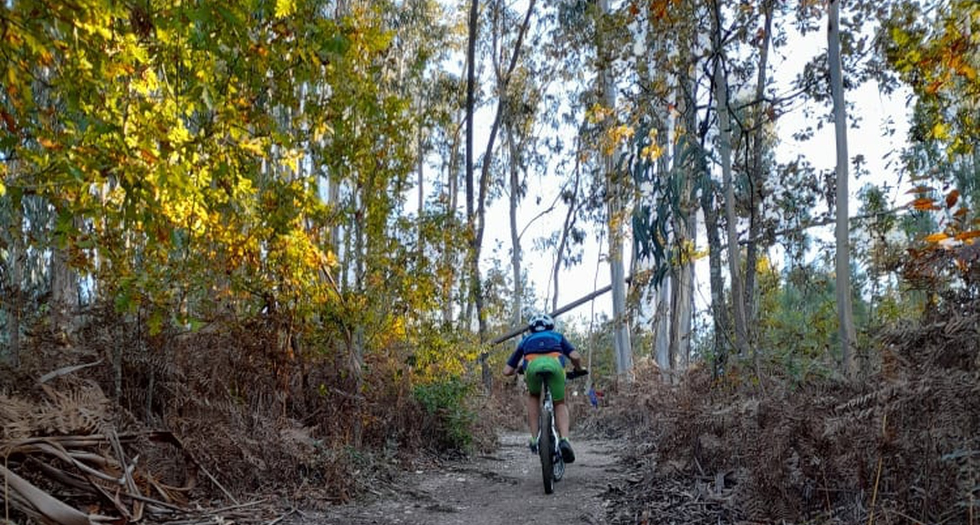 Subida Épica ao Monte de São Brás