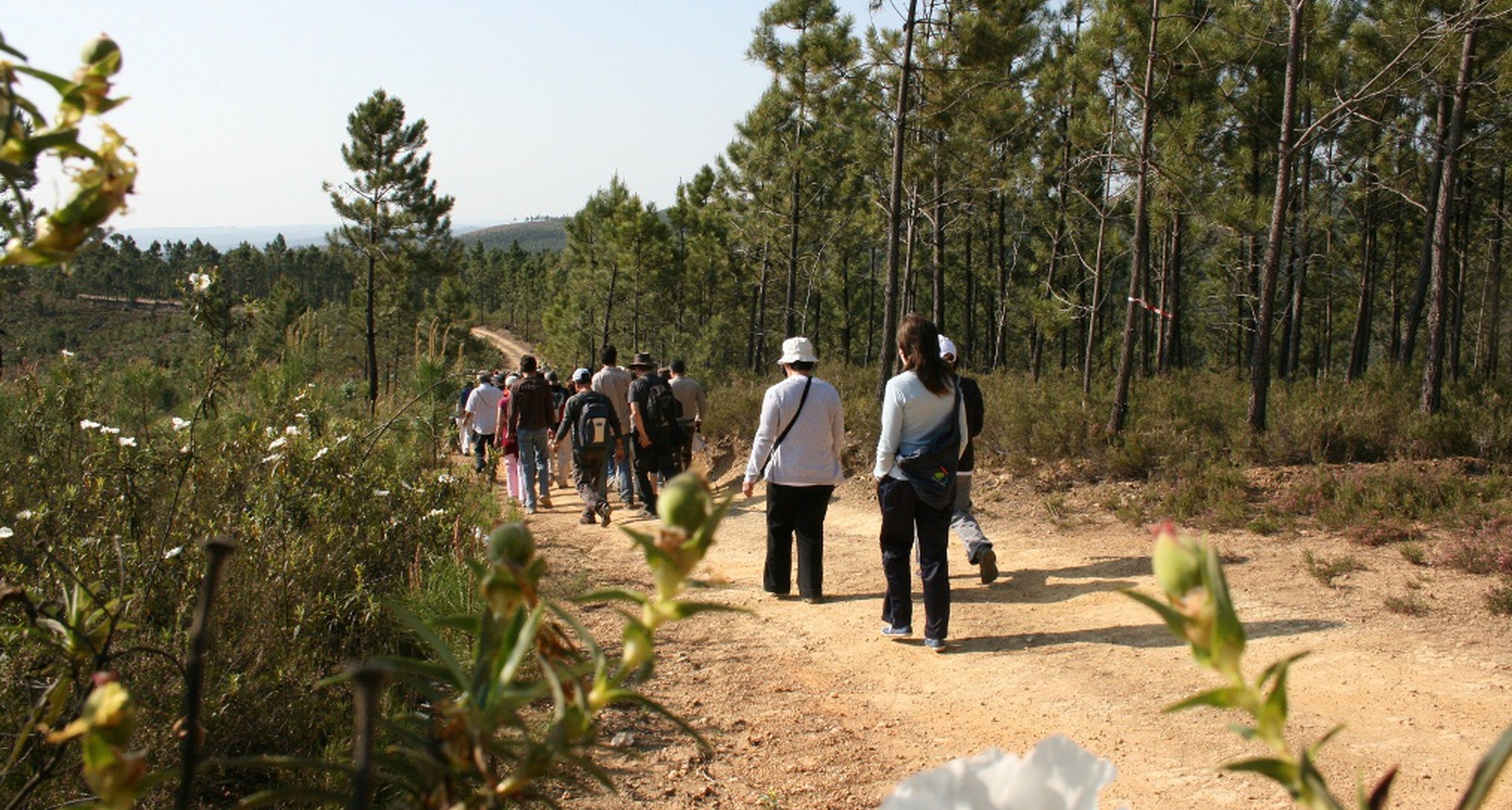 157º Passeio Pedestre - Um Cerco ao Castelo