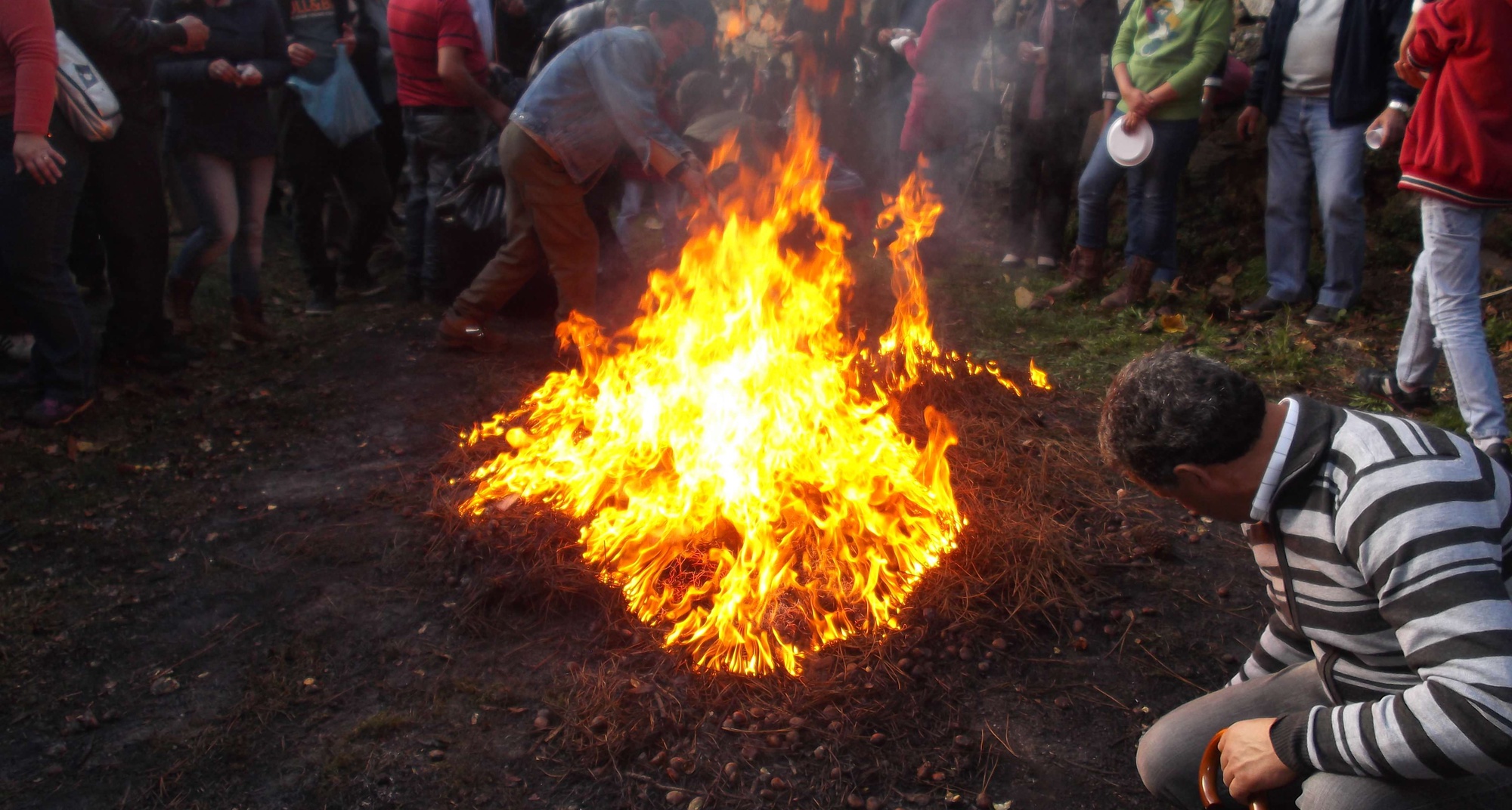 XVI Festa da Castanha em Aldeia das Dez - CANCELADA