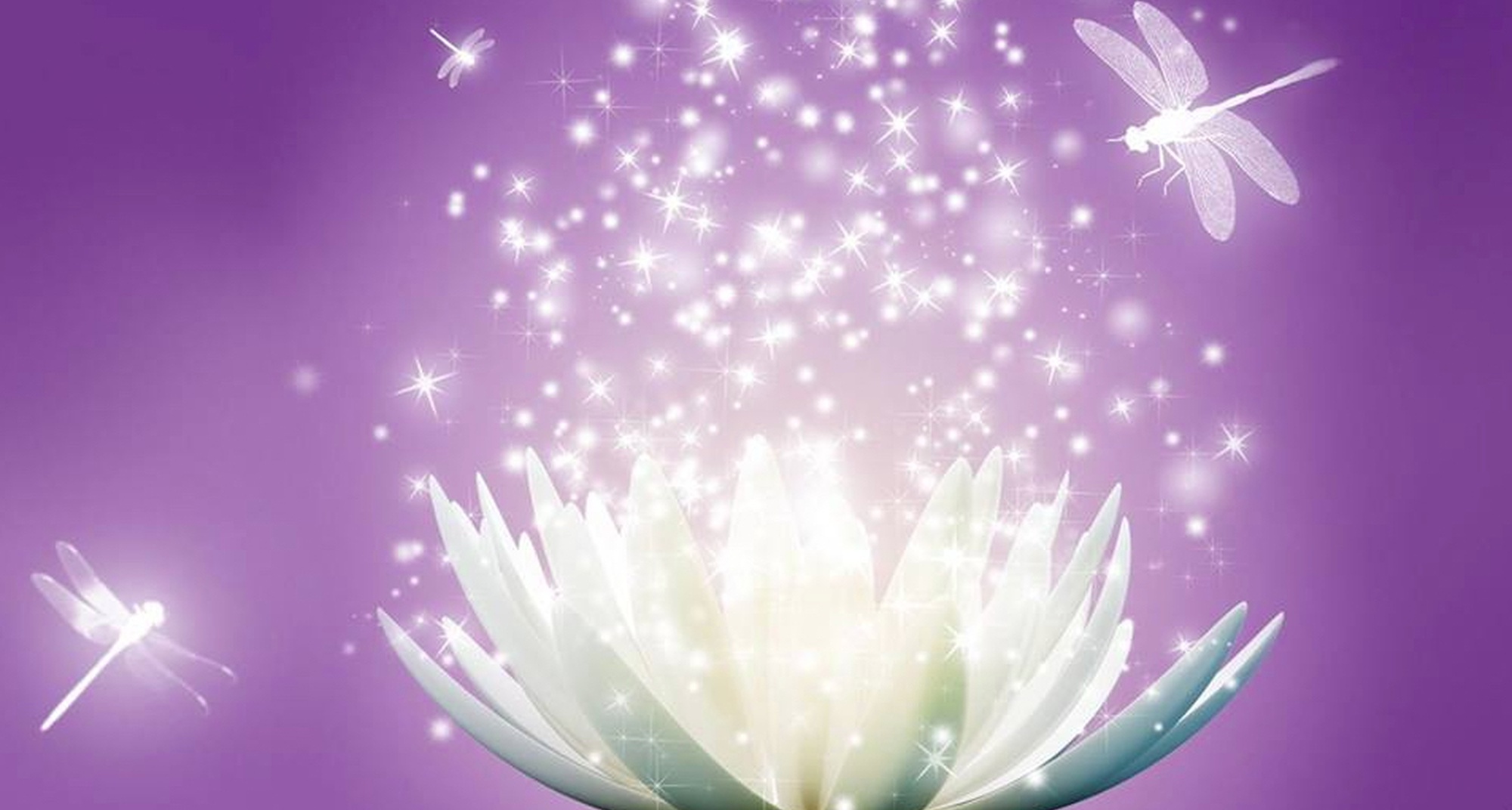 Curso de Reiki Usui Shiki Ryoho nivel I - A transformação / Okuden