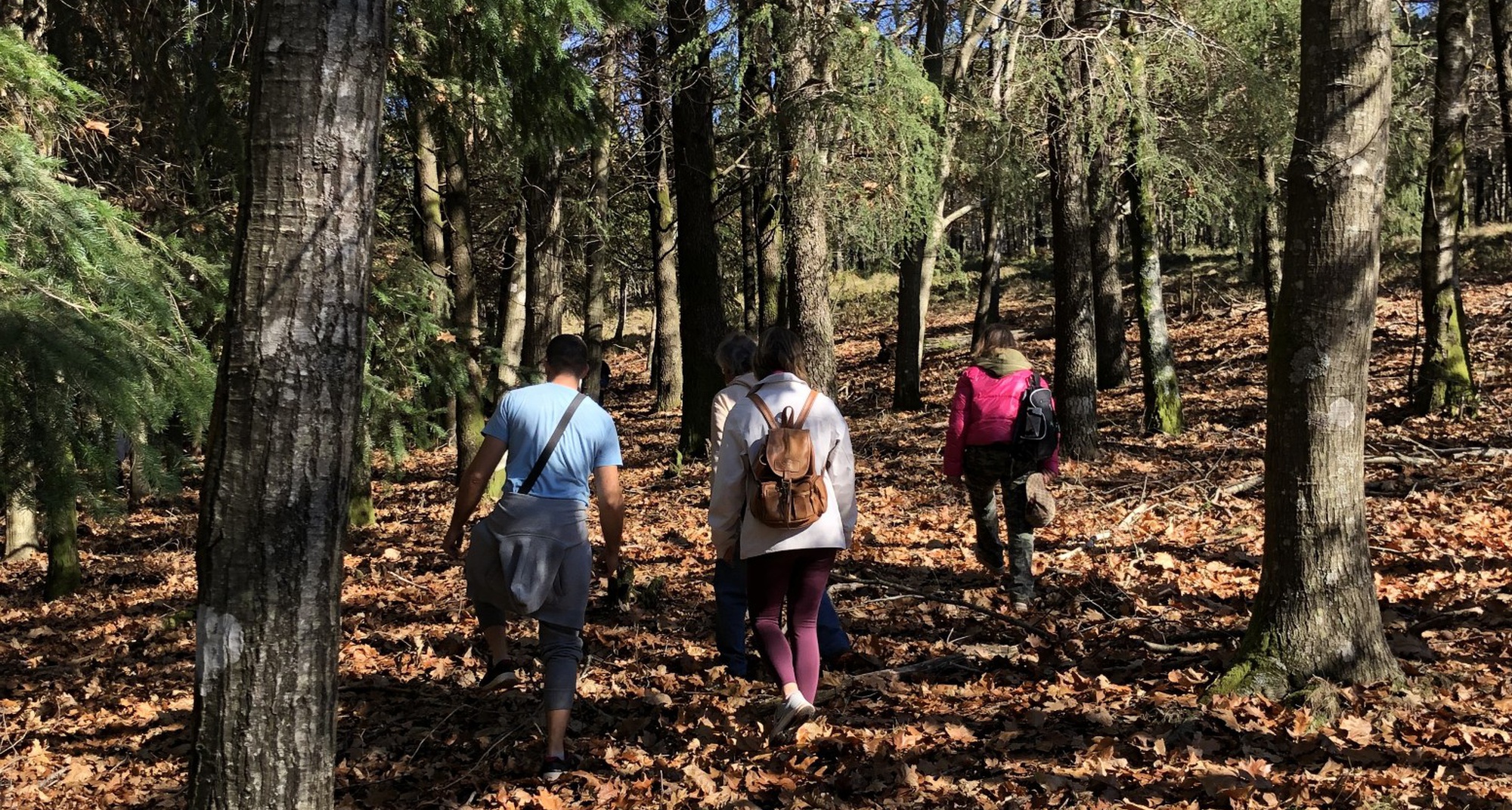 Doze Meses, Doze Caminhadas