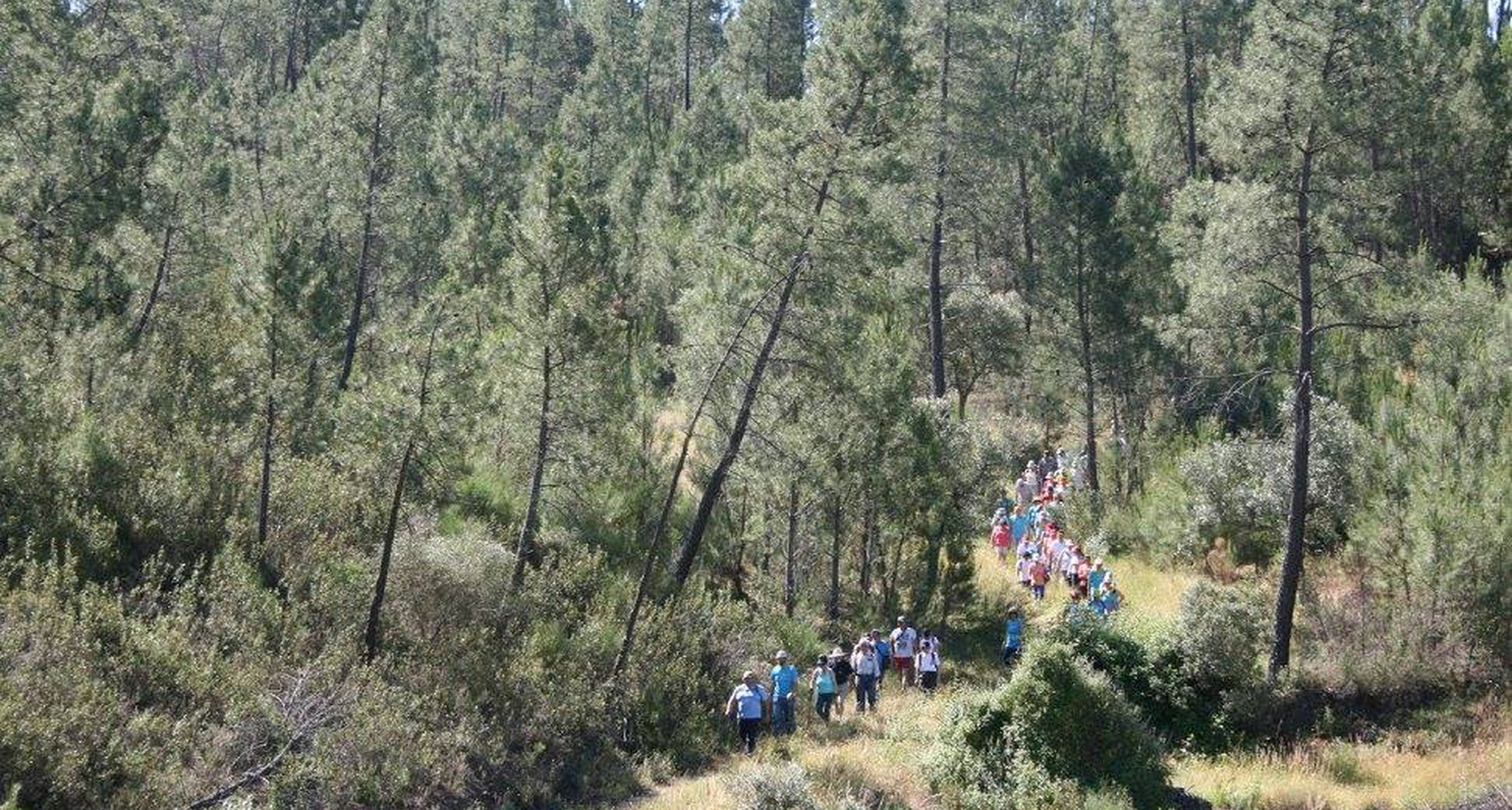 156º Passeio Pedestre: Acordar o Sol