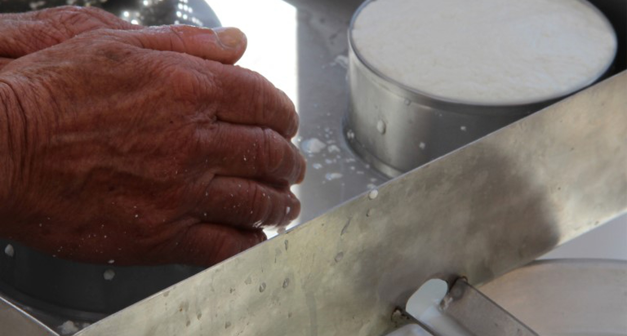 Festival Adega Típica em Proença-a-Nova