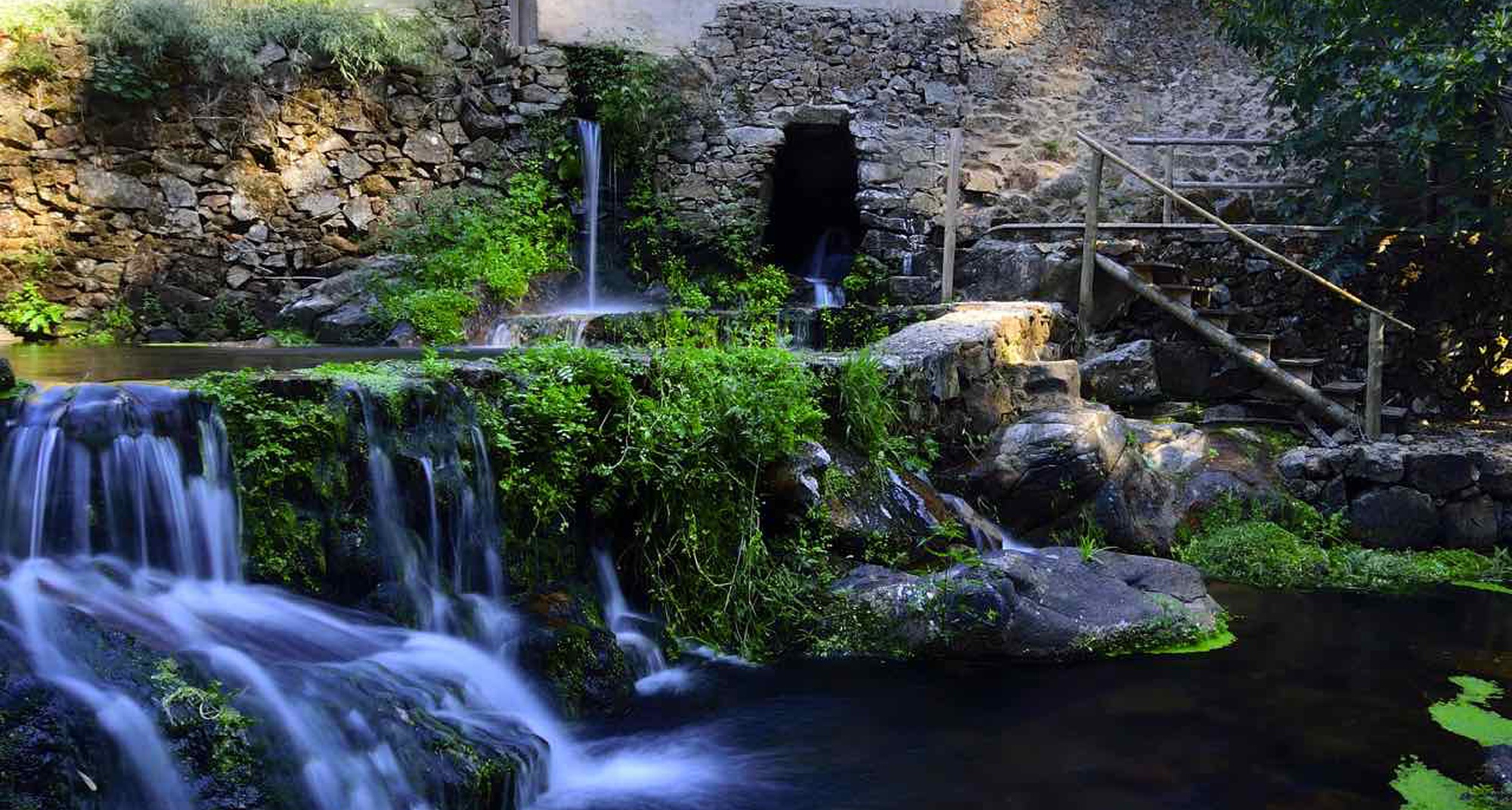 Workshop de Iniciação à Fotografia