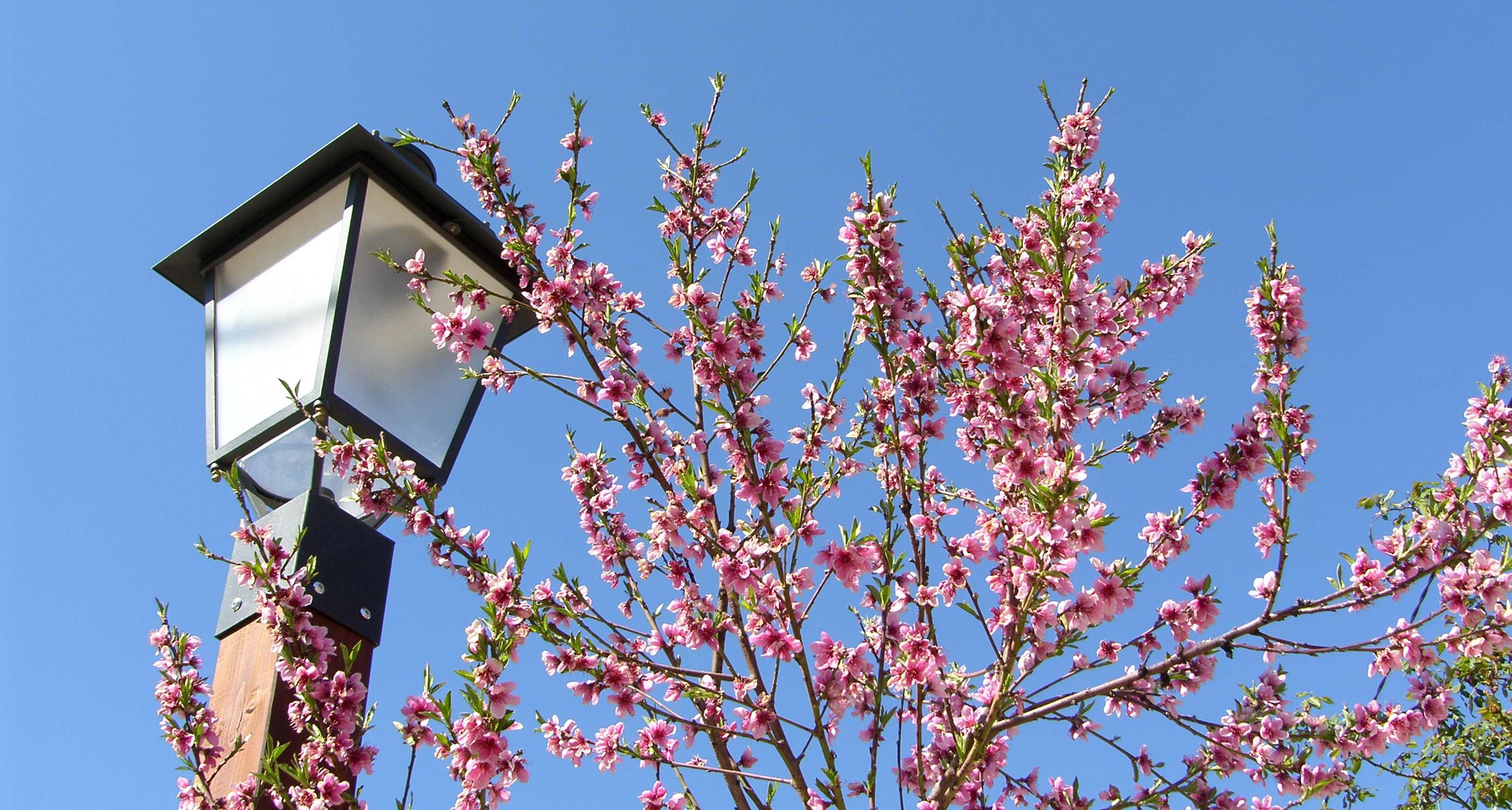 103º Passeio Pedestre