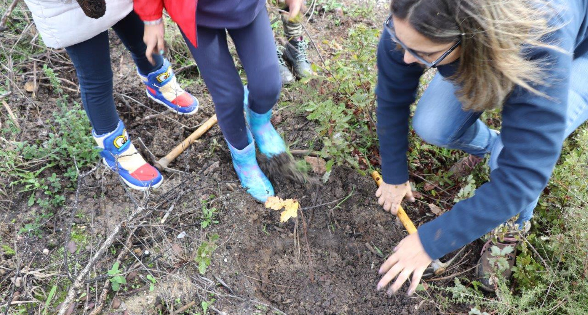 Ação de voluntariado ambiental