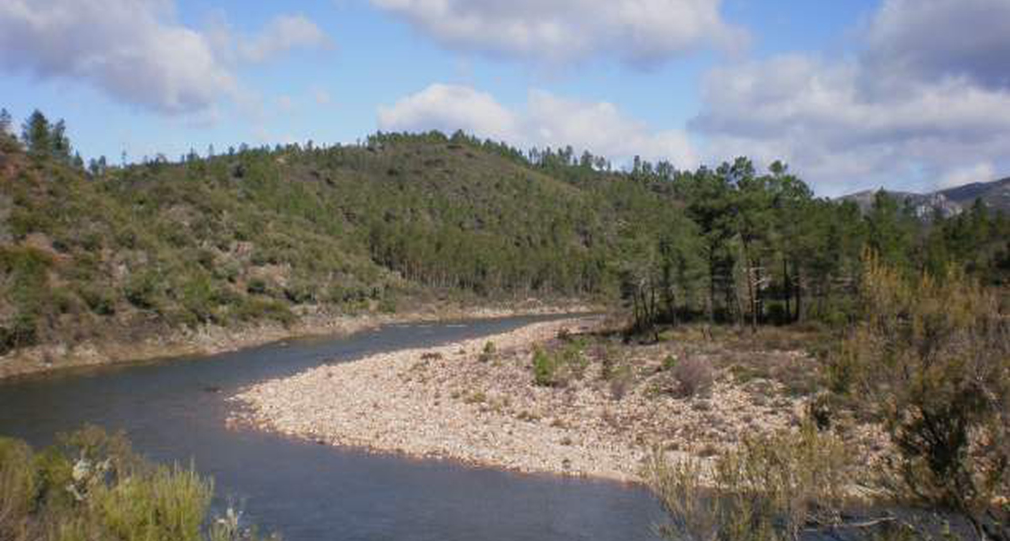 Rios de problemas: poluição e invasões biológicas na ribeira da Sarzedinha