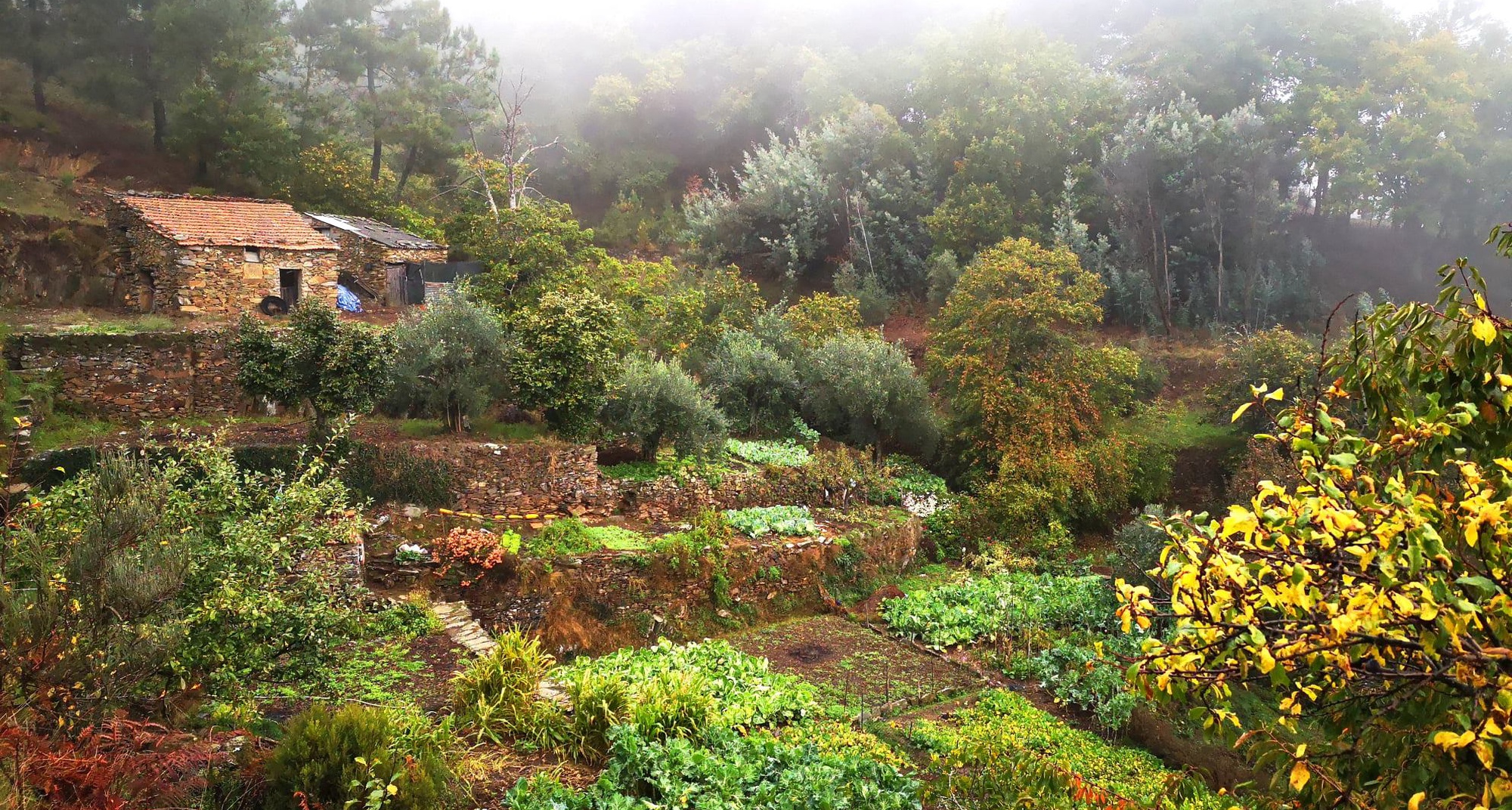 Caminhada Rota da Maúnça