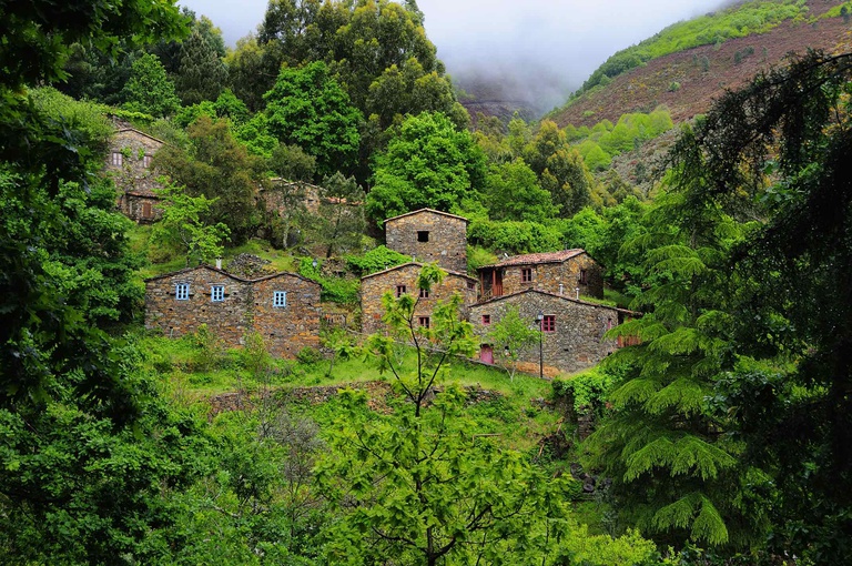 Incêndios: ações de solidariedade e voluntariado