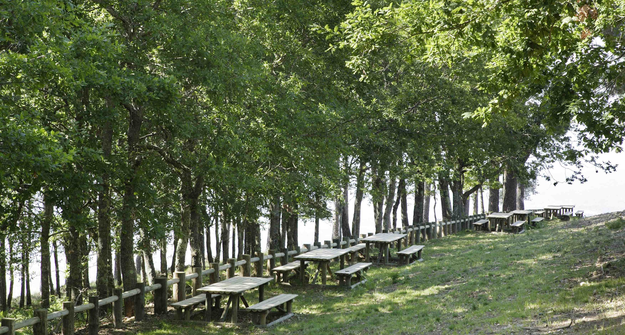 Fórum Florestal em Oleiros