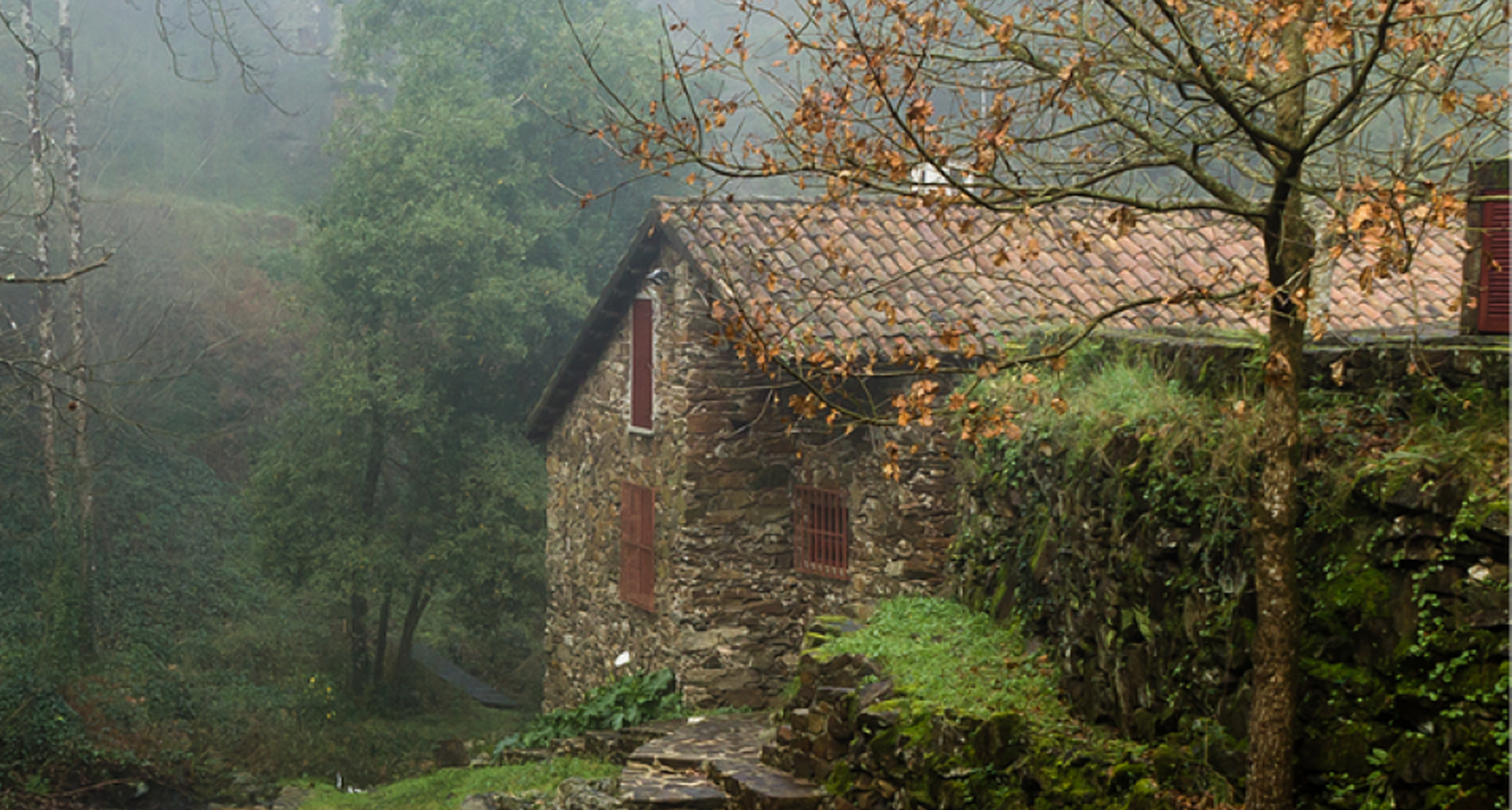 Exposição XISTUS: Concurso de fotografia na Serra da Lousã