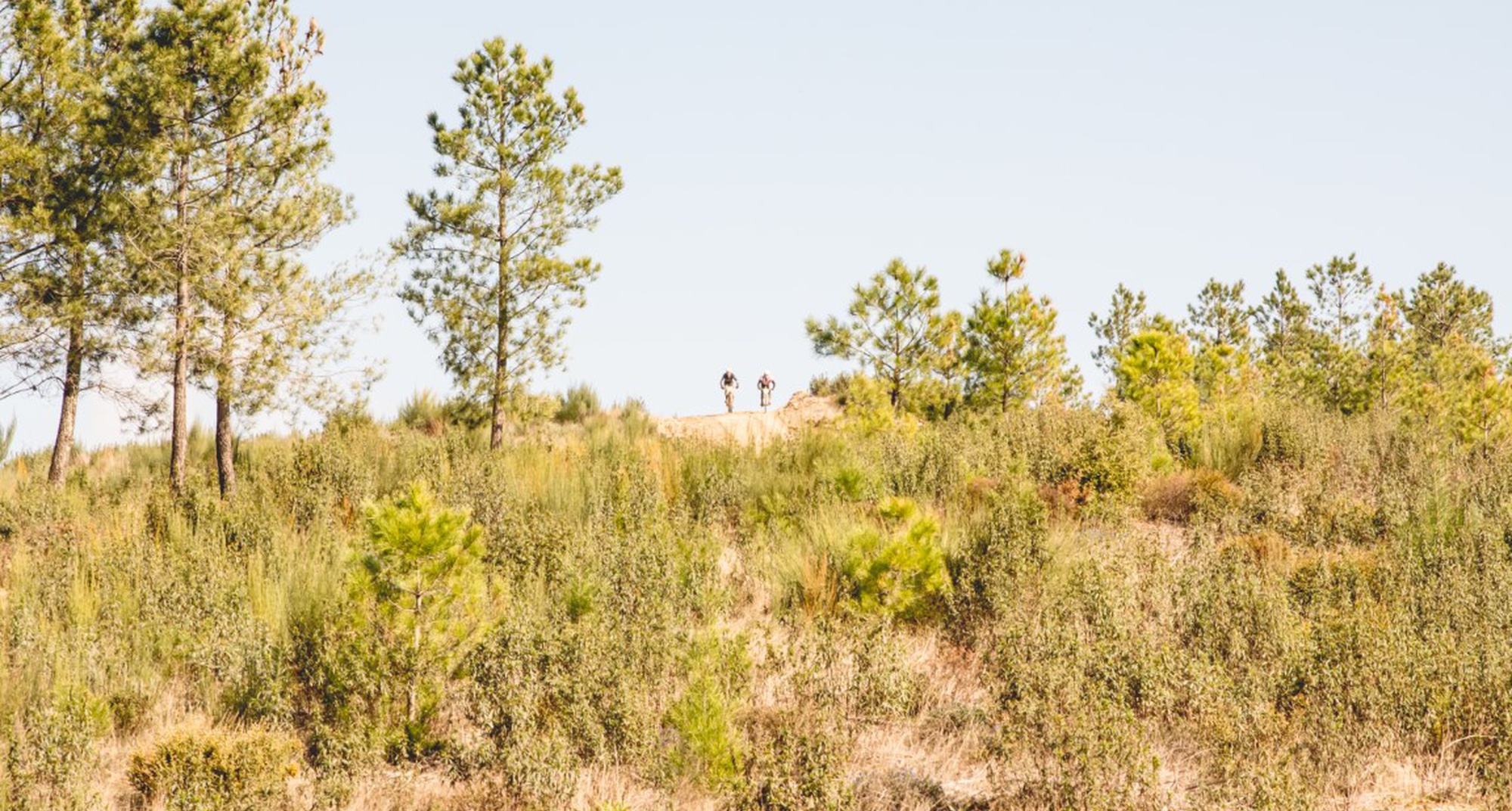 Passeio Bike Tour Família