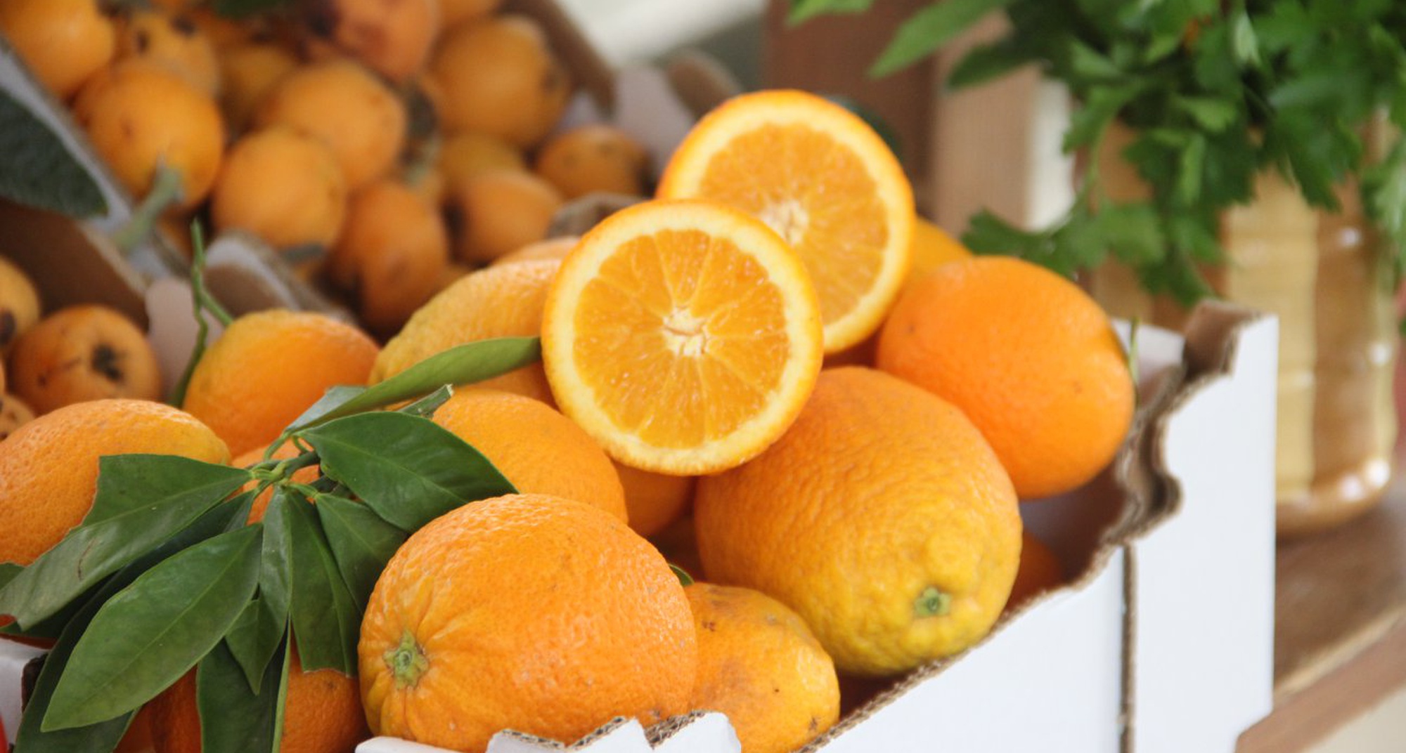 Vila de Rei recebe Os Quintais nas Praças do Pinhal