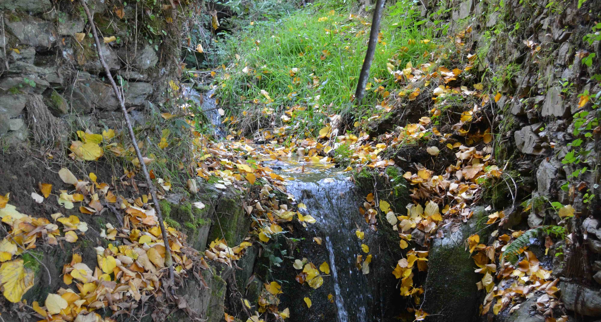 Jornadas Ecológicas “O meio ambiente e a saúde humana – Prevenção na área de resíduos”