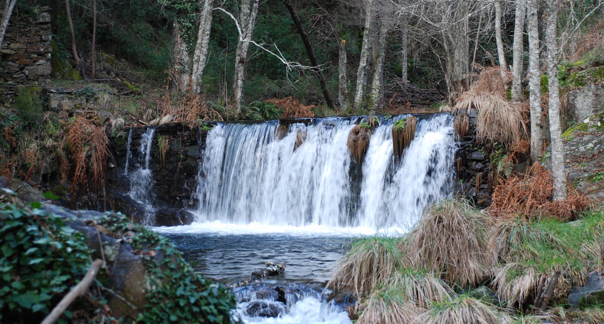 Percurso Pedestre: PR 9 PGR - GOI - "Trilho do Castelo Vale d'Armunha"