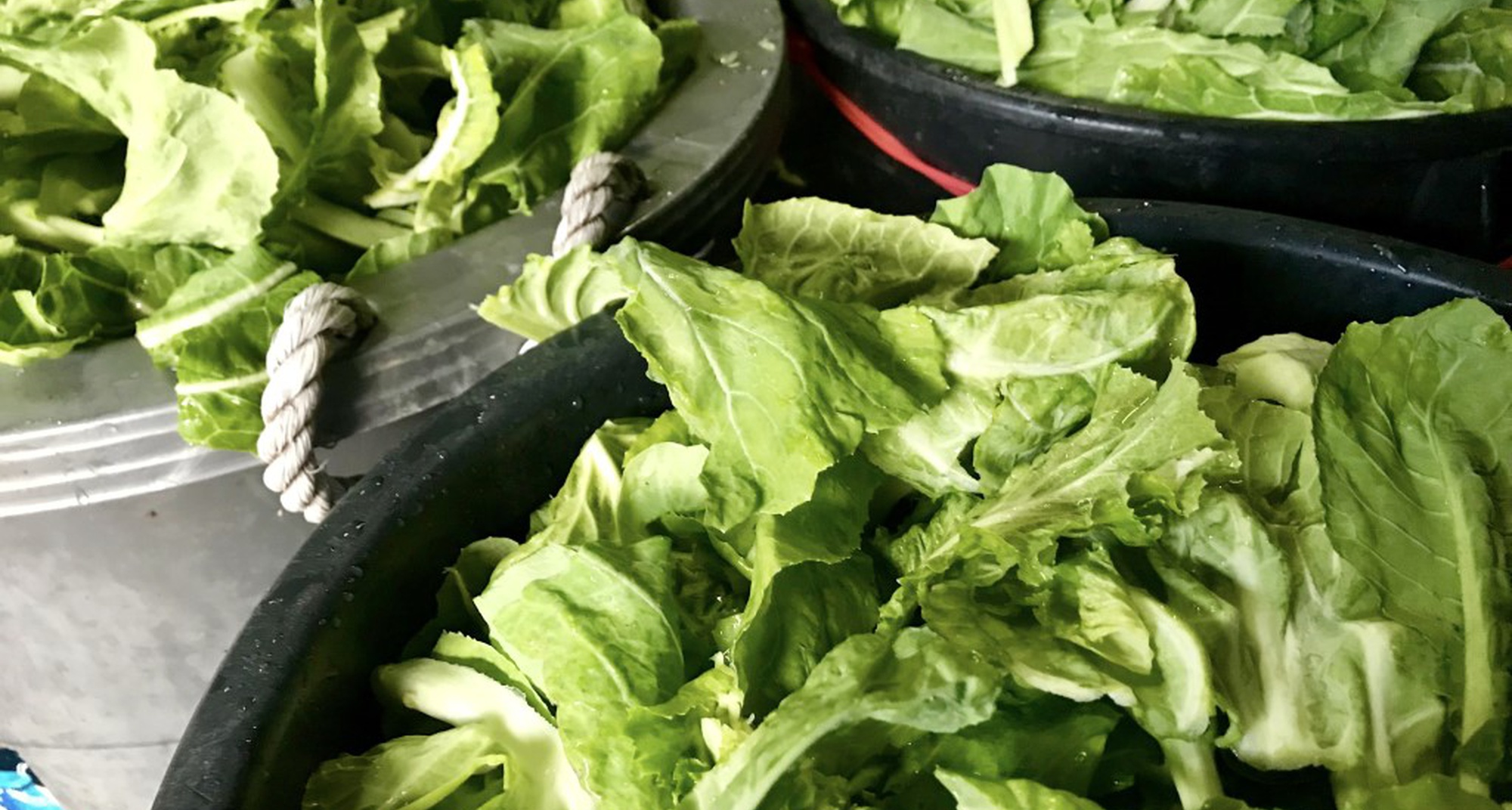 Lagarada Tradicional