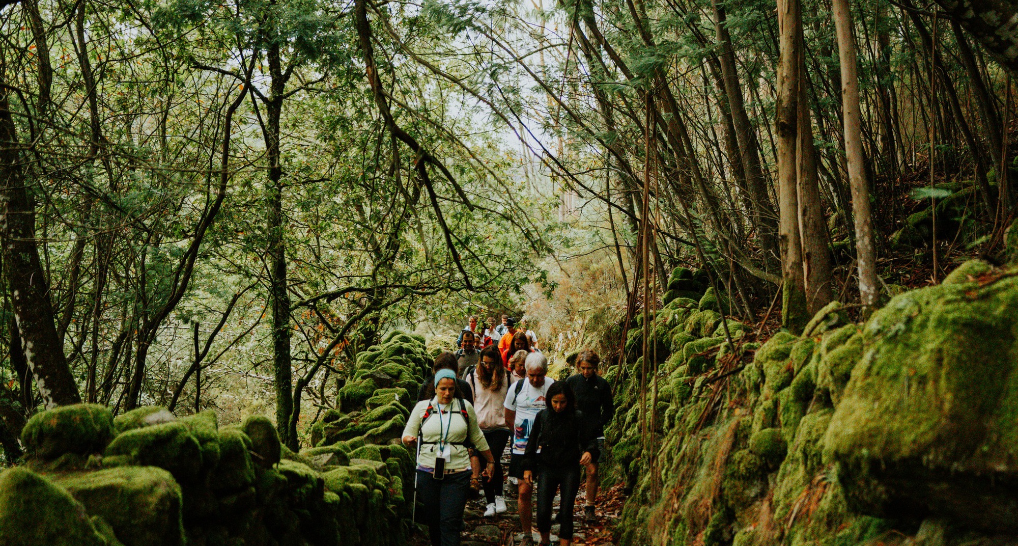 Festival de Caminhadas da Serra da Lousã