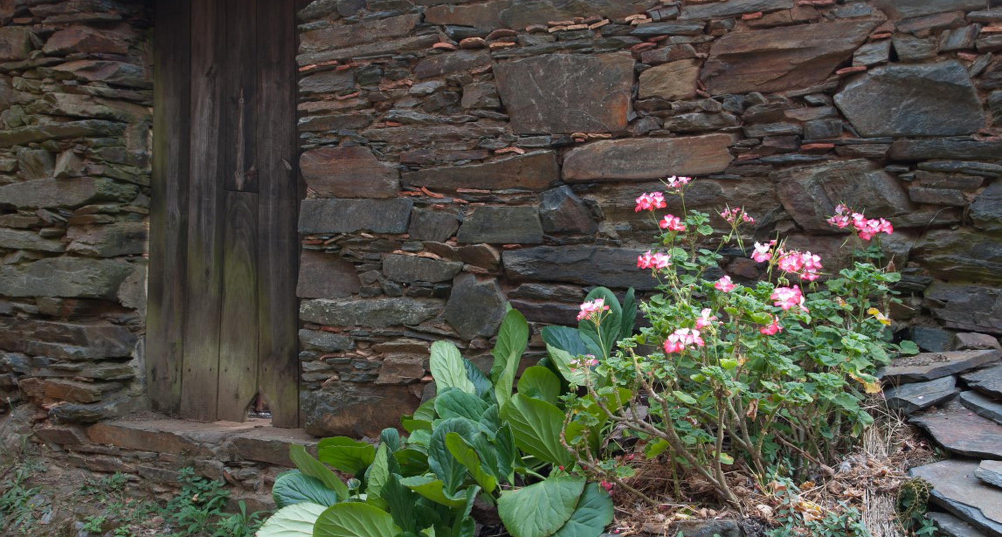 Oficina de Construção Natural – Casa de Banho com Vermicompostagem