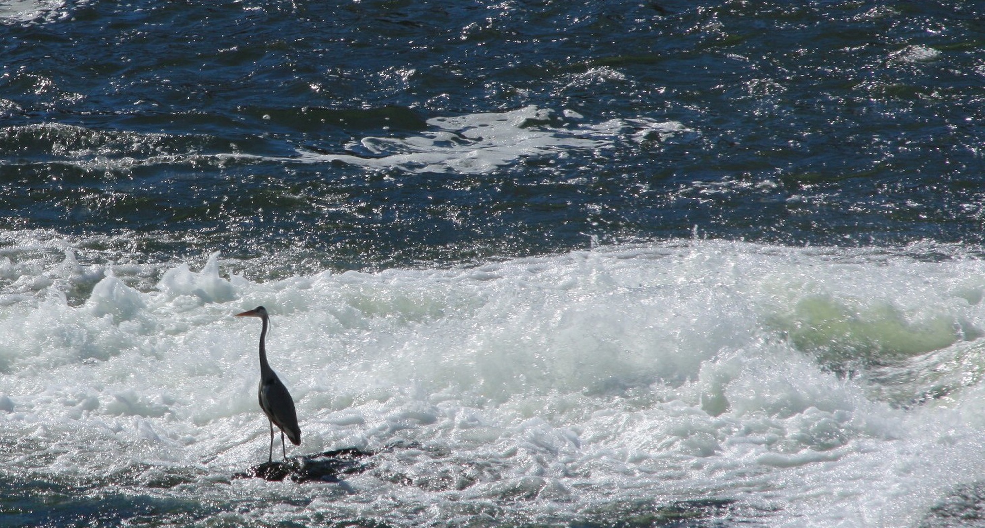 Launch of the GRZ- Grande Rota do Zêzere trail - Municipality of Oleiros