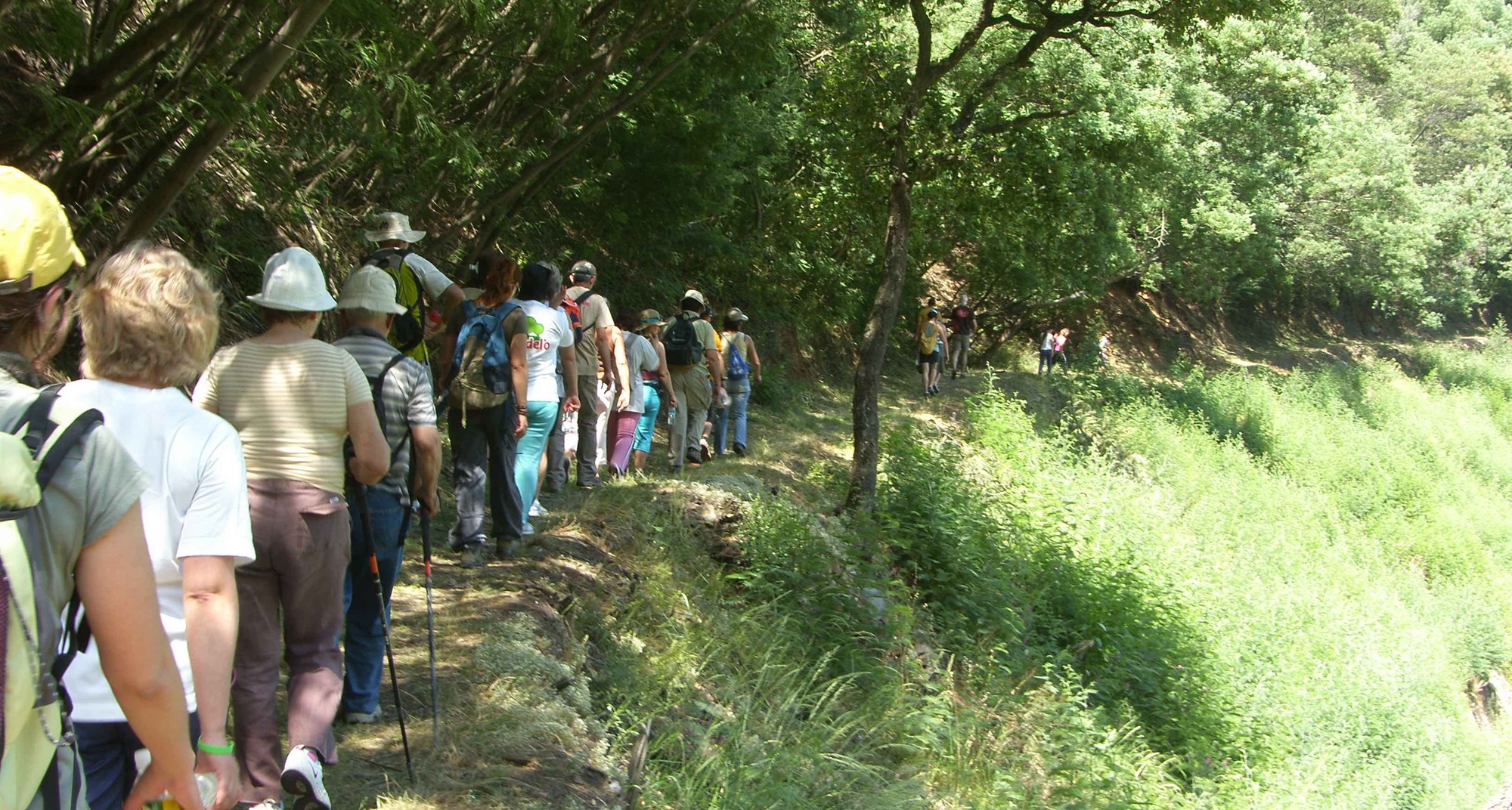 Caminhada “Rota dos Vales”