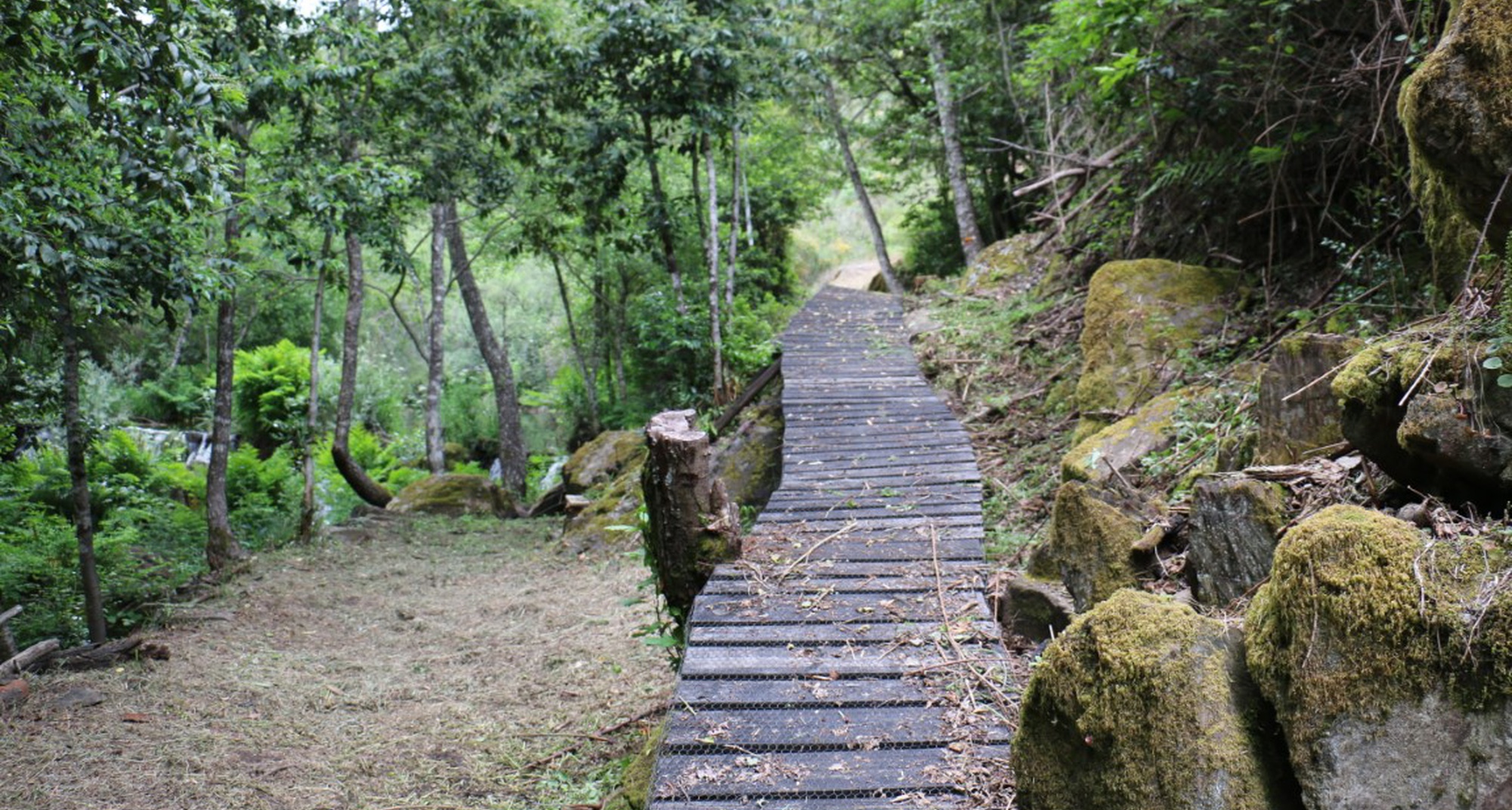 Caminhada na Rota do Rio Unhais