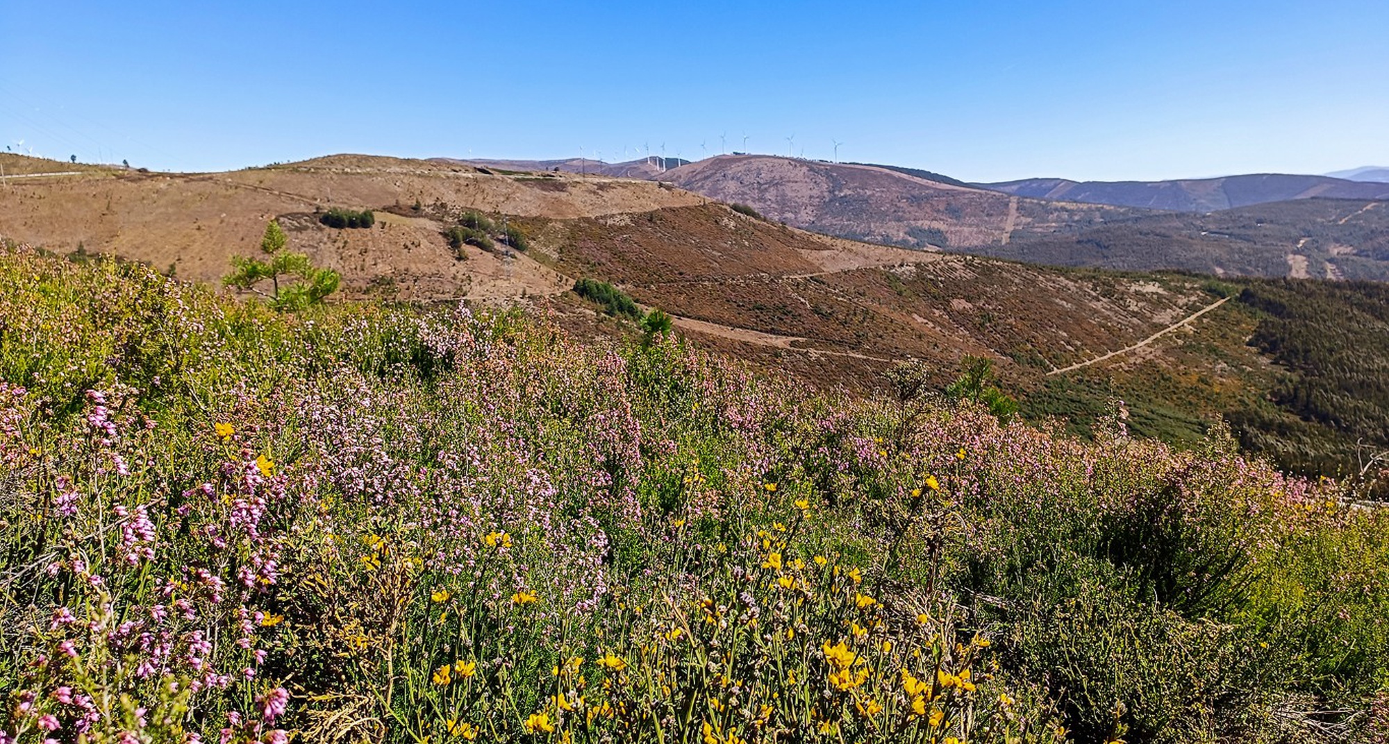 Spring Route