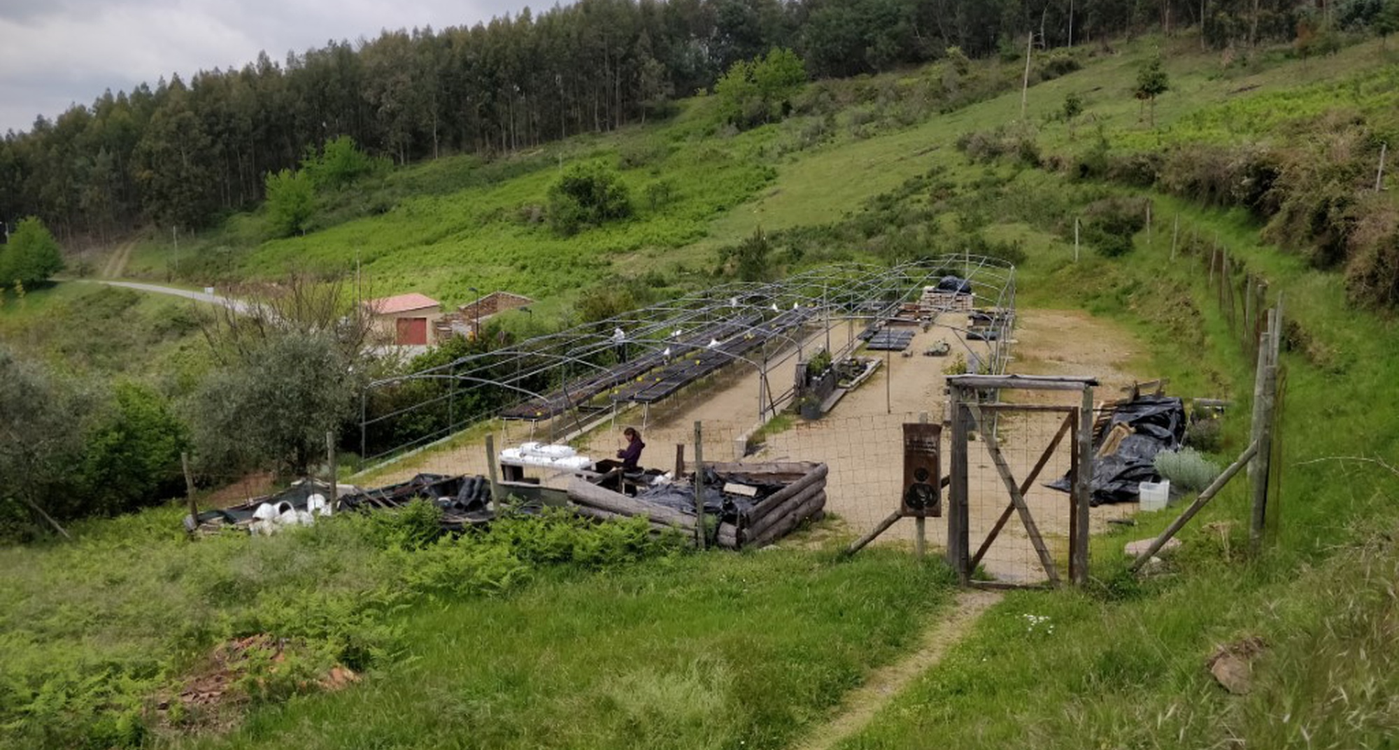 Um Dia na Maternidade de Árvores