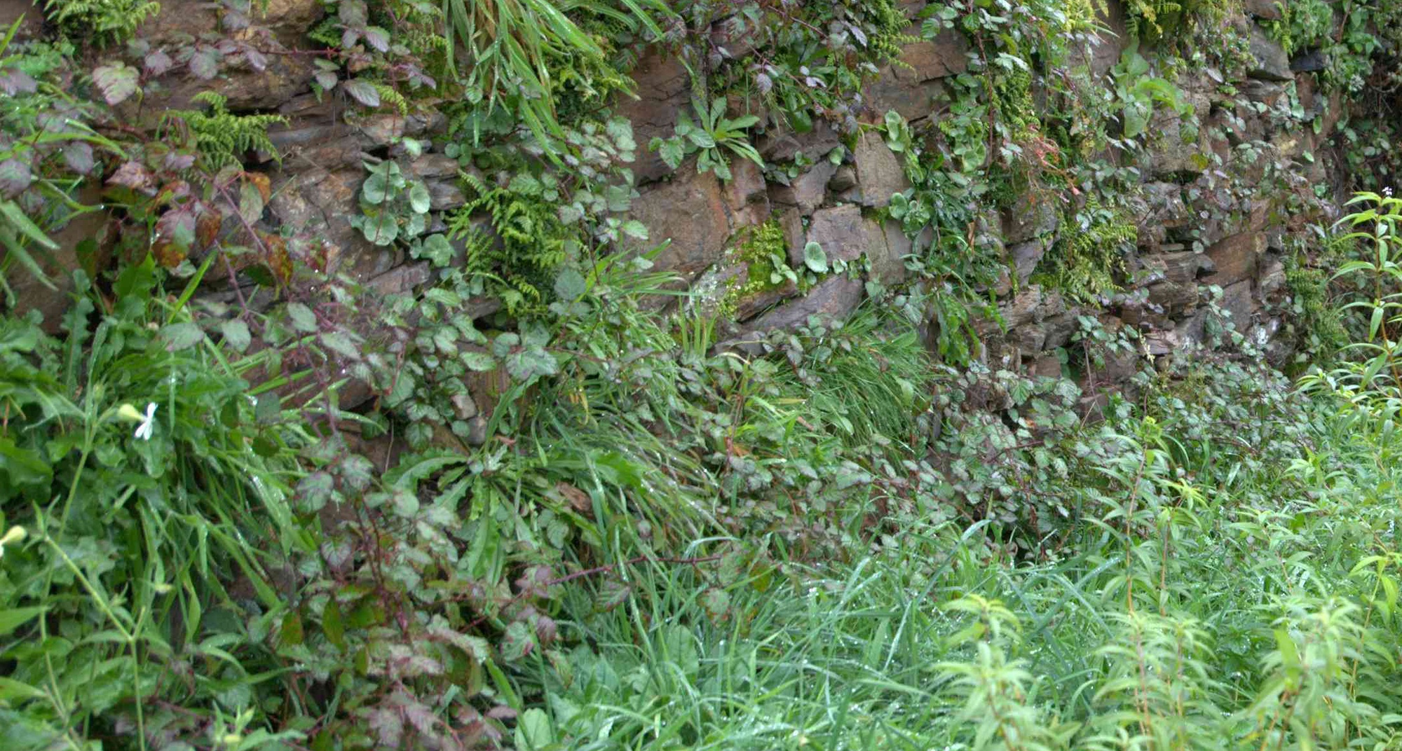 Workshop de Extração de Óleos Essenciais de Plantas Aromáticas