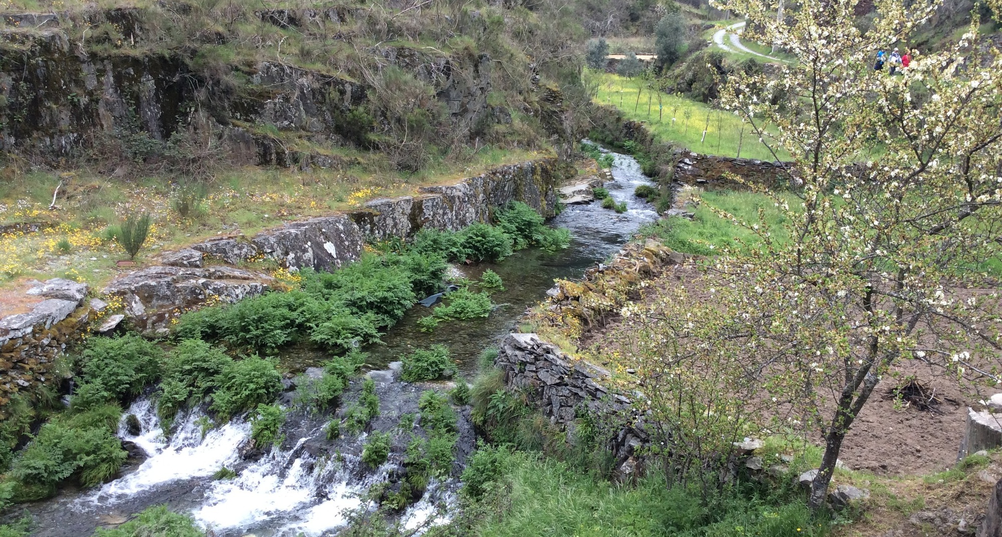 Caminhada solidária Rota dos Carvoeiros