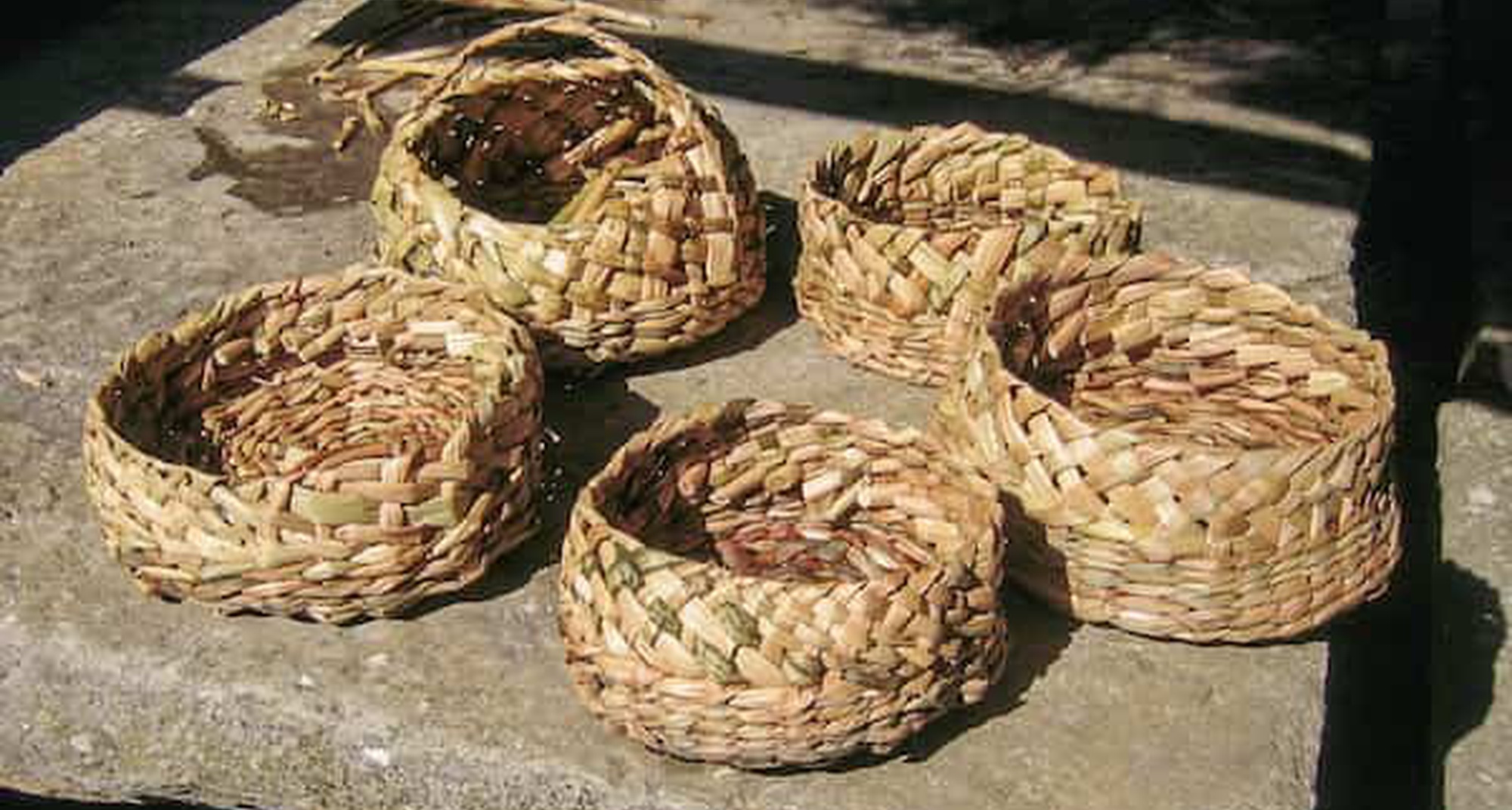 Workshop de Cestaria em Bunho