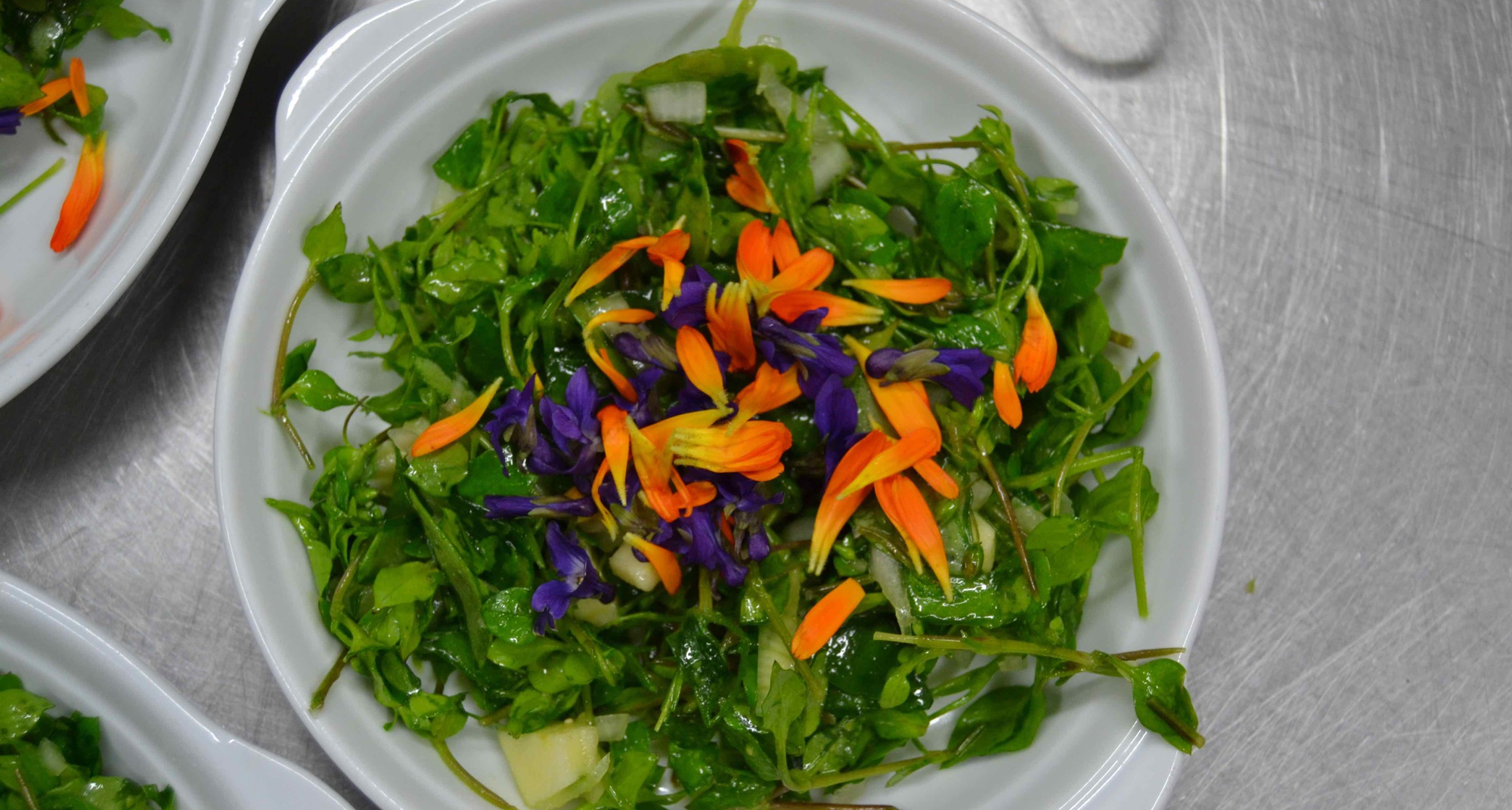 Jantar Micológico e de Plantas Silvestres