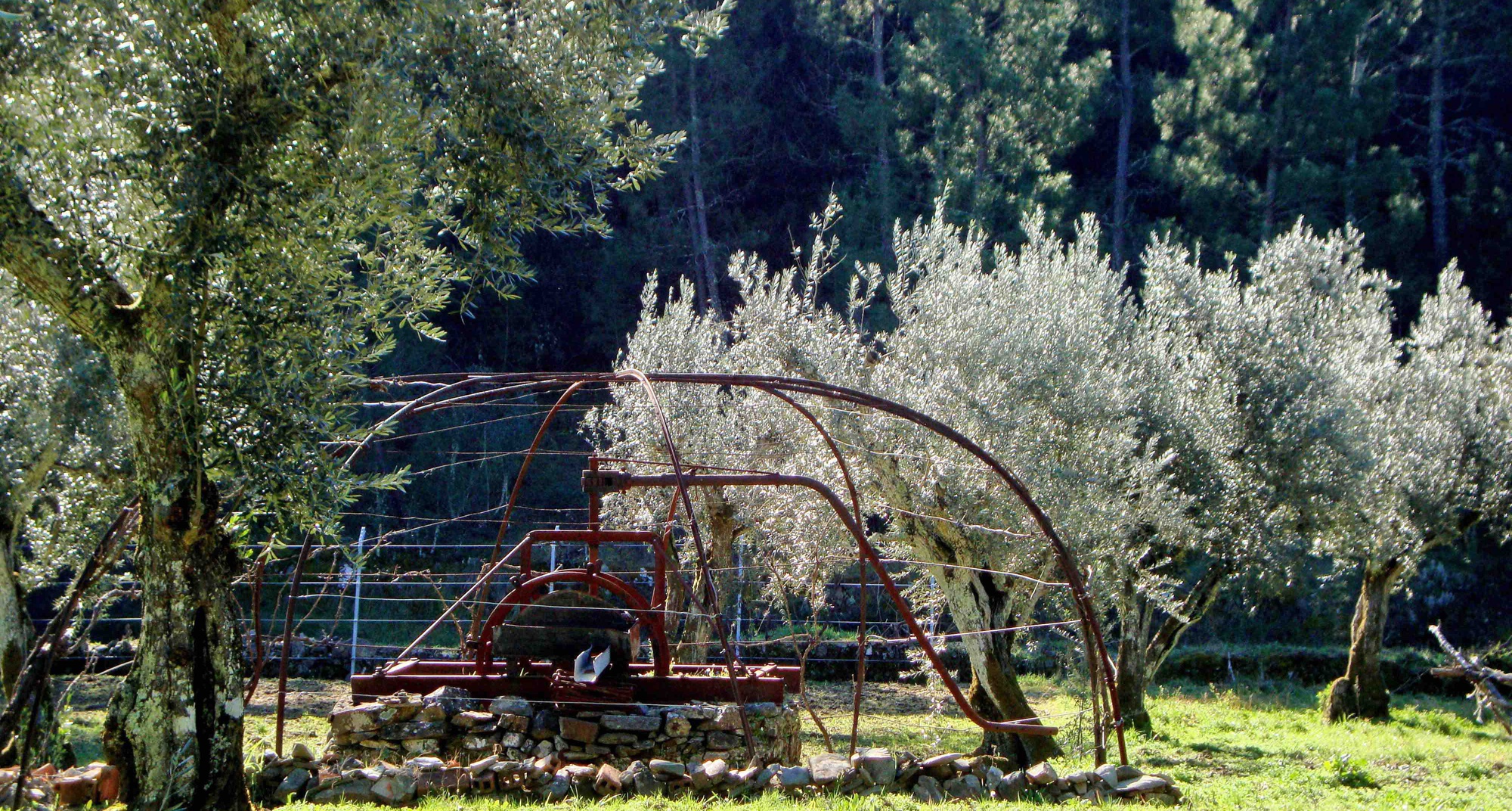 115º Passeio Pedestre