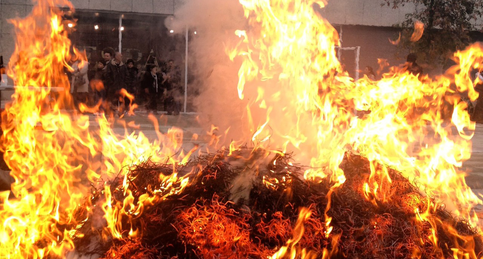 Magusto Tradicional no Hotel Santa Margarida