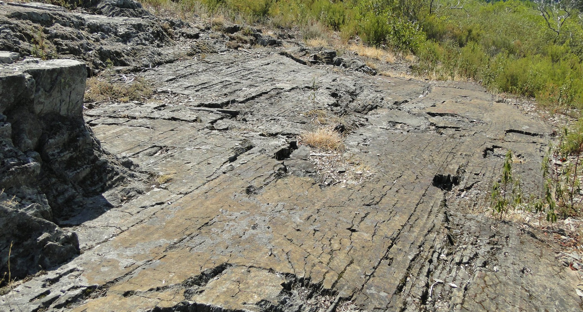 Journey to Prehistory