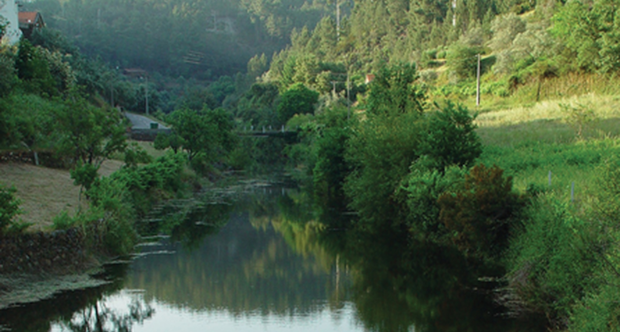 III Concurso de Fotografia “Pampilhosa da Serra Inspira Natureza”
