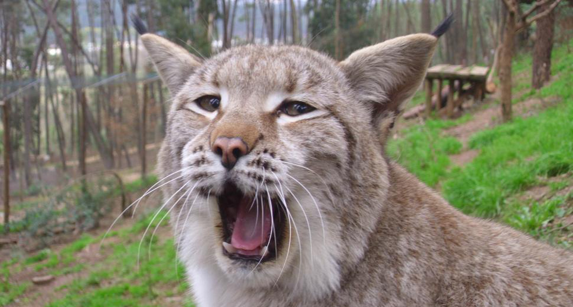 Férias de verão no Parque Biológico da Serra da Lousã