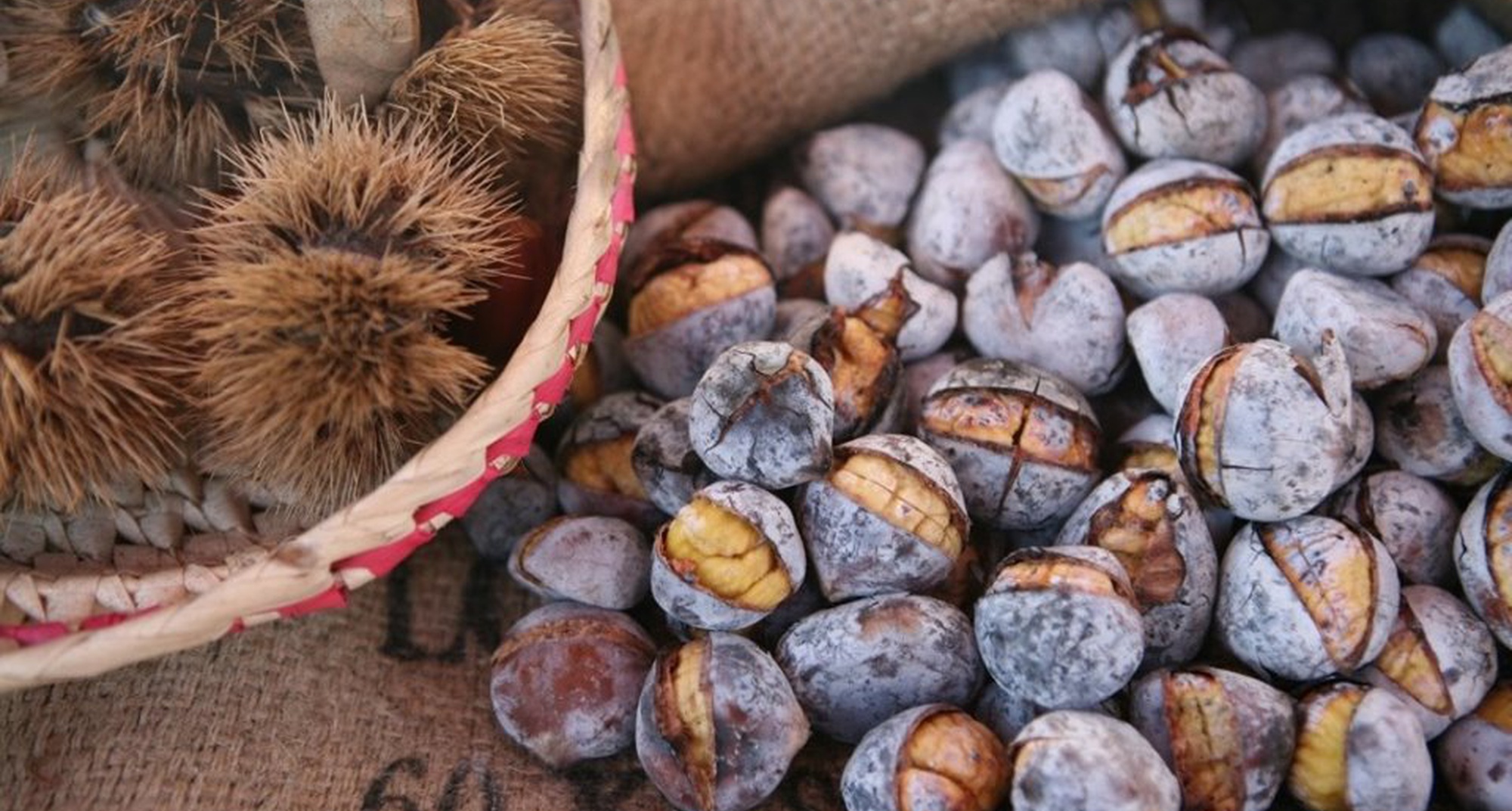 Magusto com Jantar em Janeiro de Cima