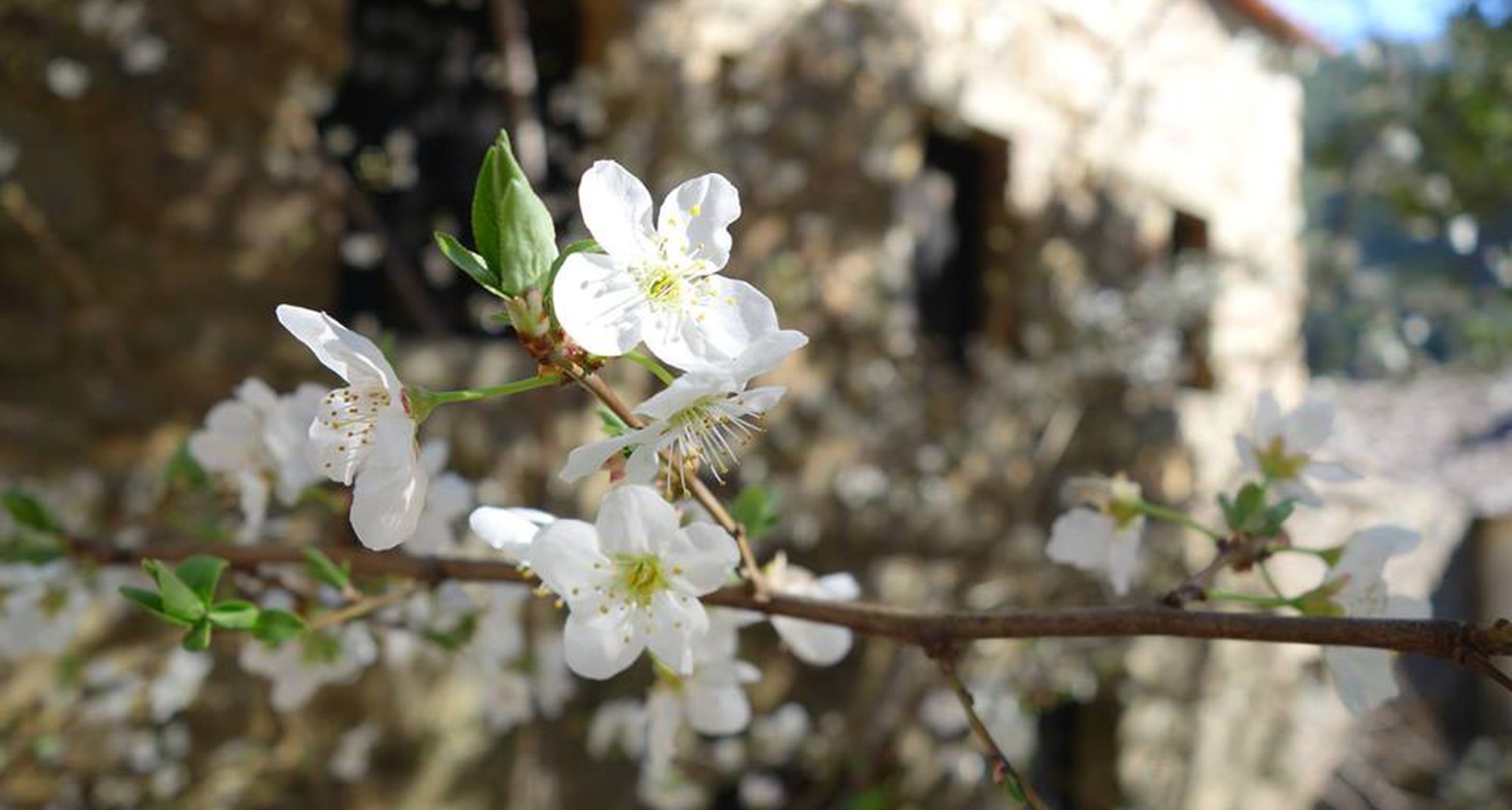 Fotografia na Aldeia do Xisto de Água Formosa