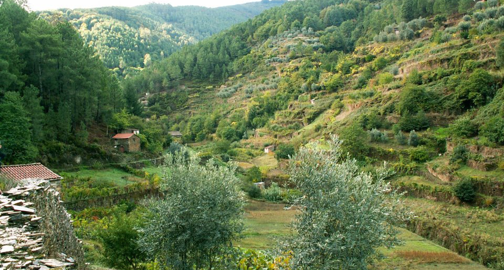 15º Passeio e Peddy Paper Amigos do Pinhal