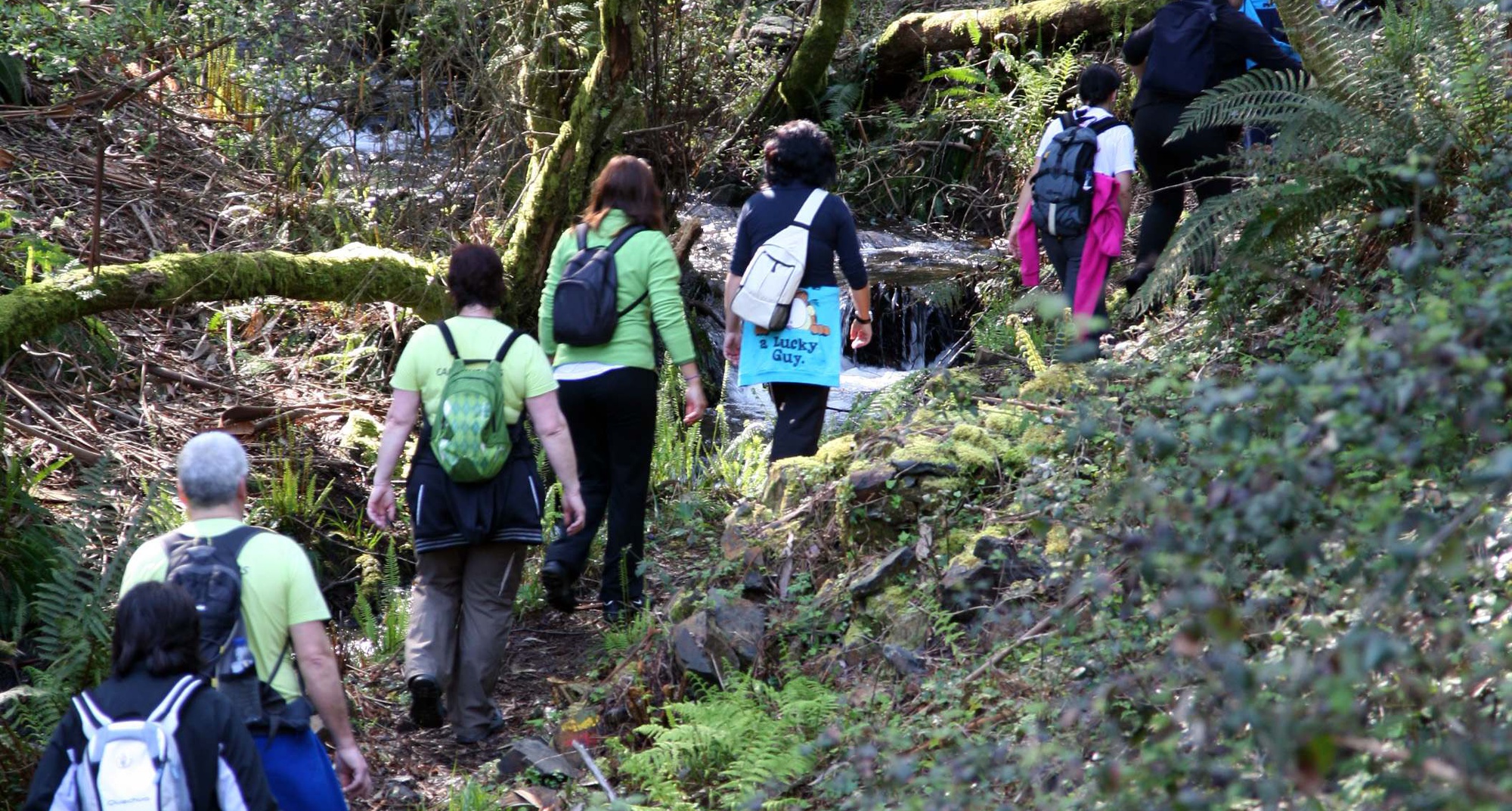 Rotas da Biodiversidade