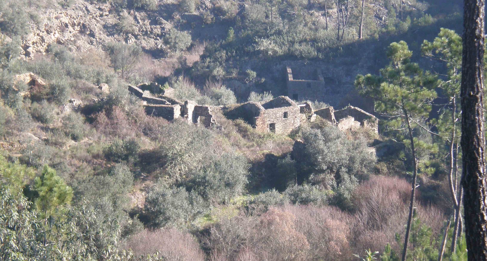 Passeio Pedestre - Para Passar a Fronteira