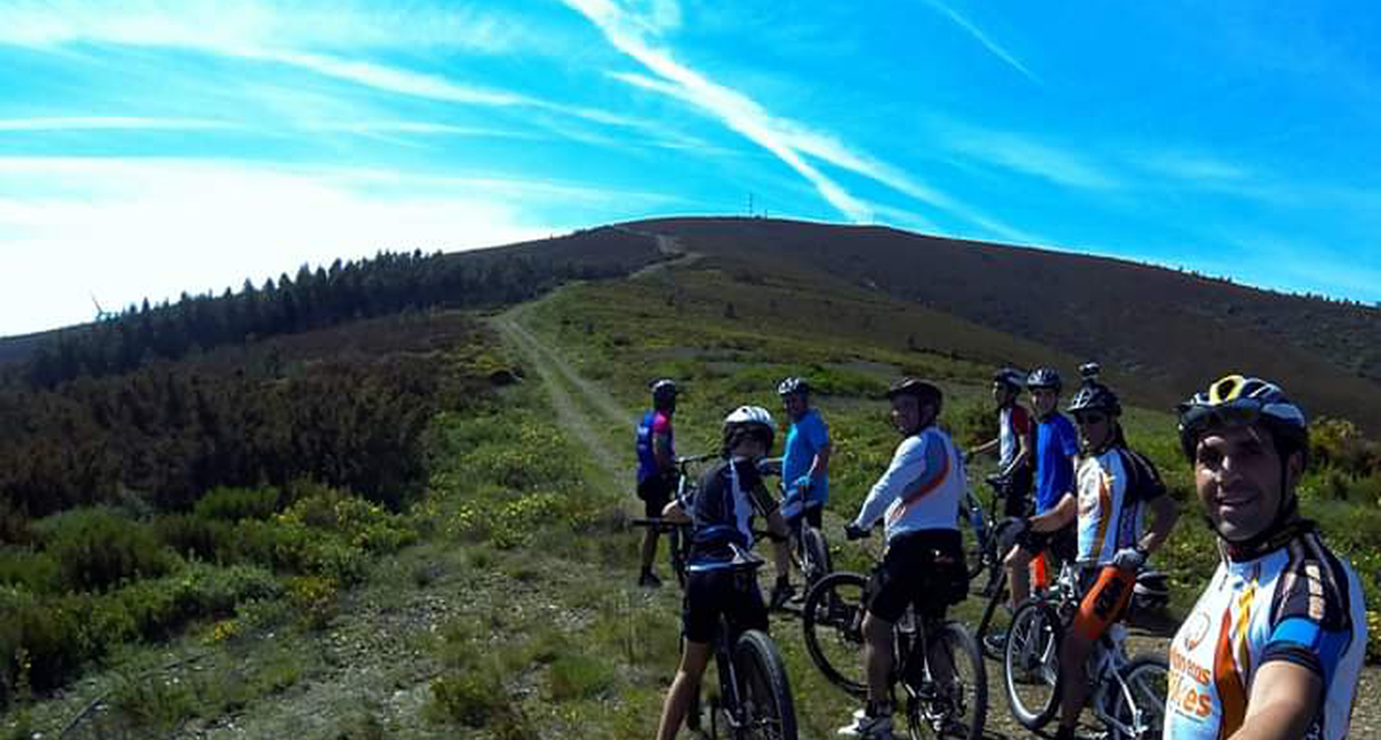 Avalanche Pinhal Total