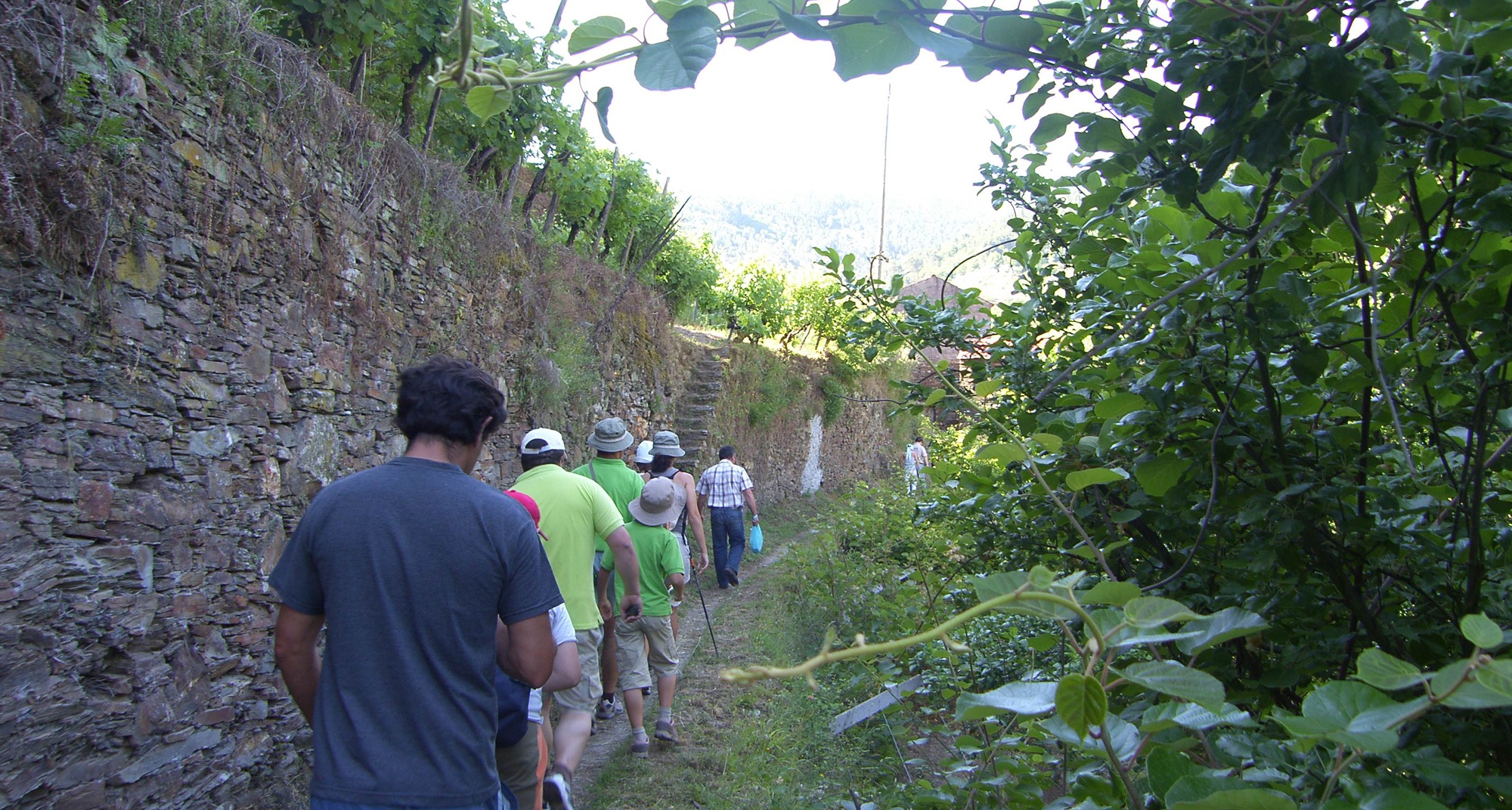 100º Passeio Pedestre em Proença-a-Nova