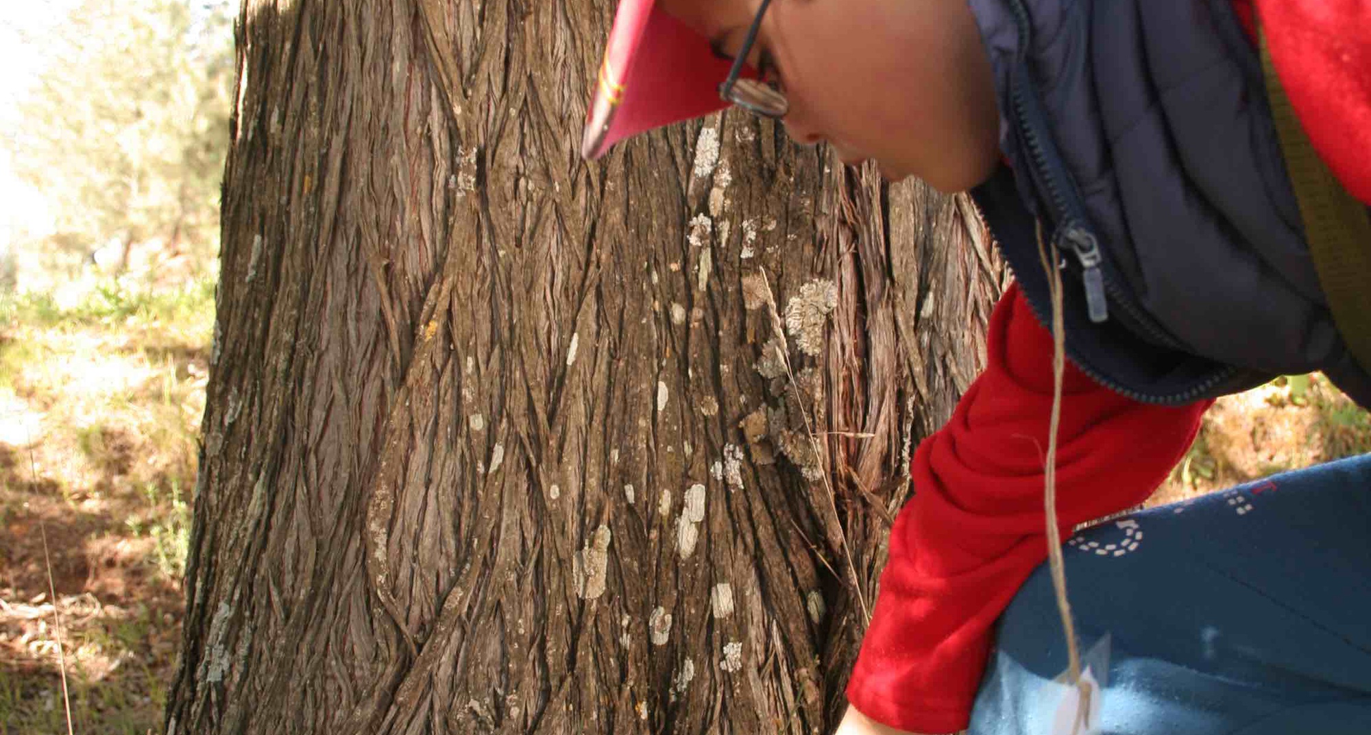 Campanha “Troque Resíduos por Plantas”