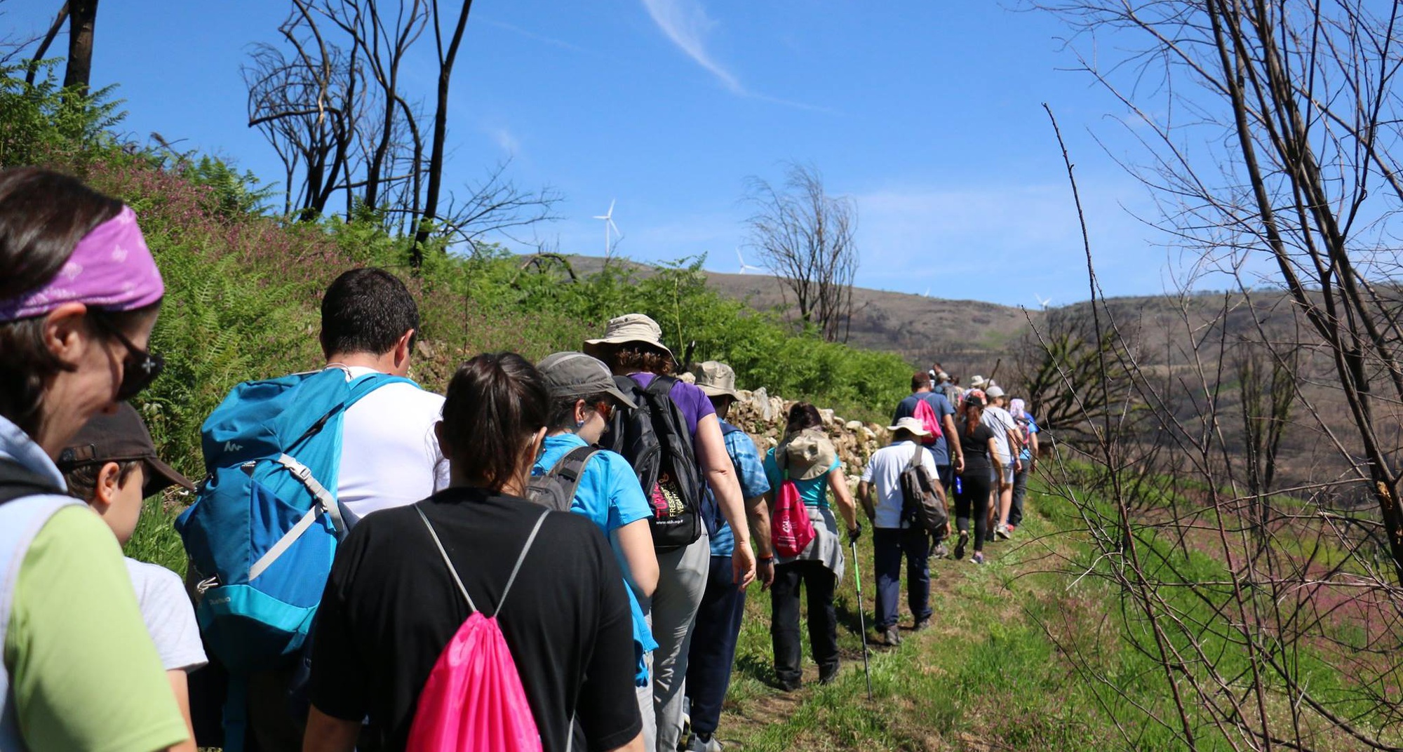 Walking Weekend'20 - Festival de Caminhadas