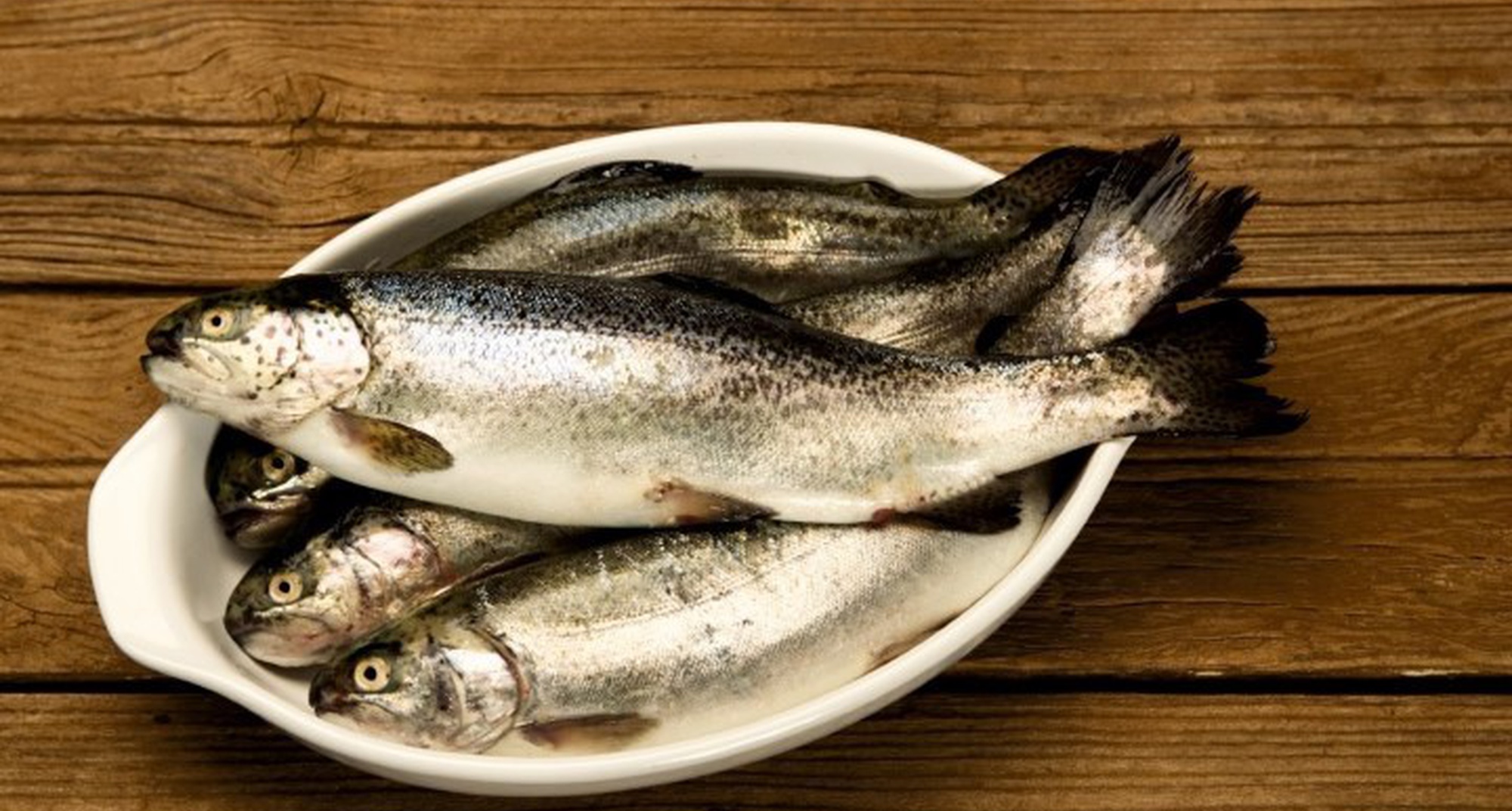 River Fish Gastronomic Festival