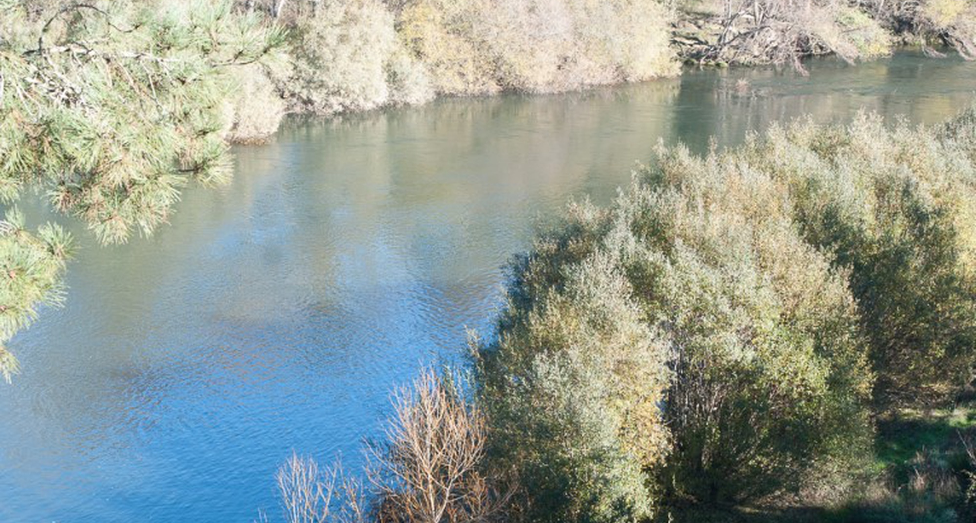 152º Passeio Pedestre - GR39: Figueira - Moitas