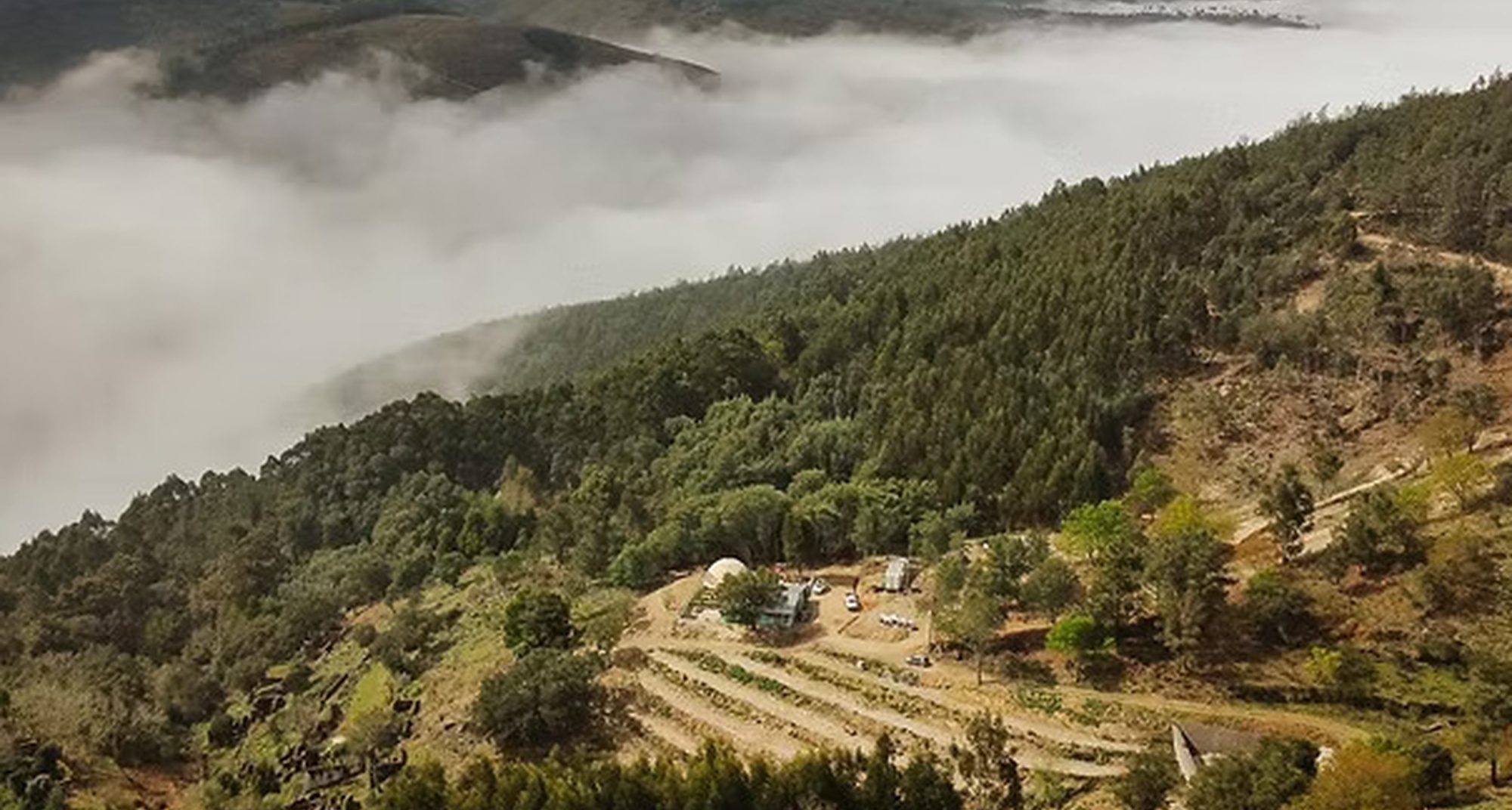 Silveira Tech Open Day