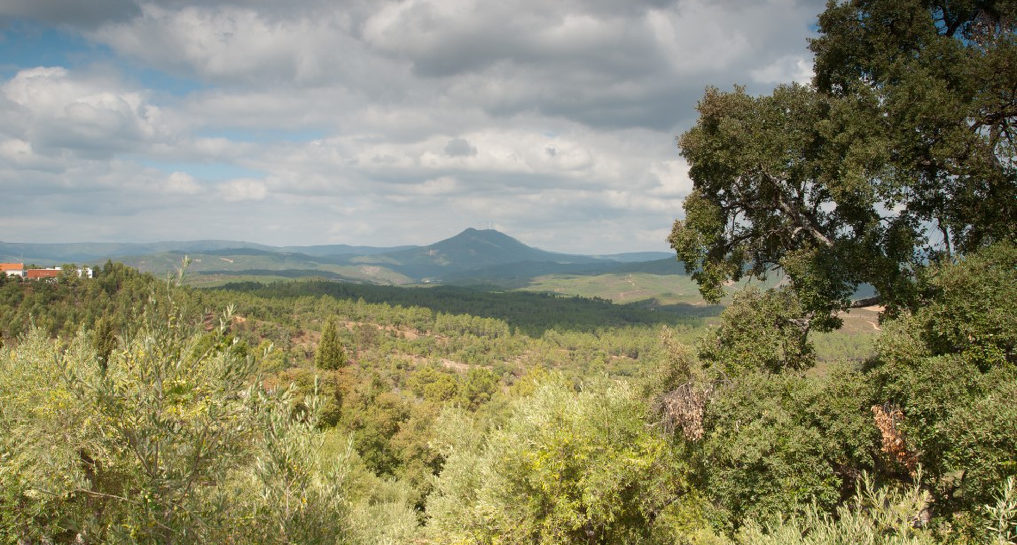 Passeio Pedestre Na Rota da Serra