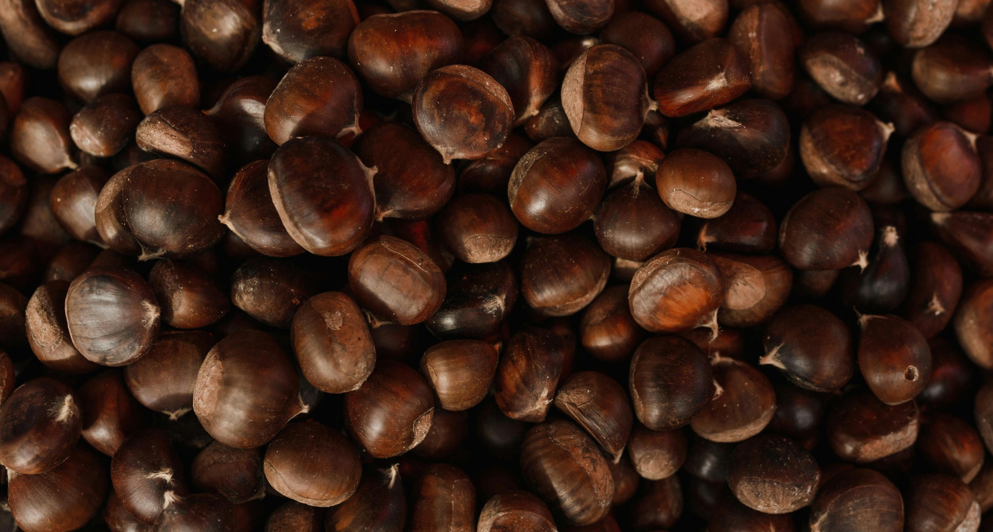 Magusto Comunitário na Fatela